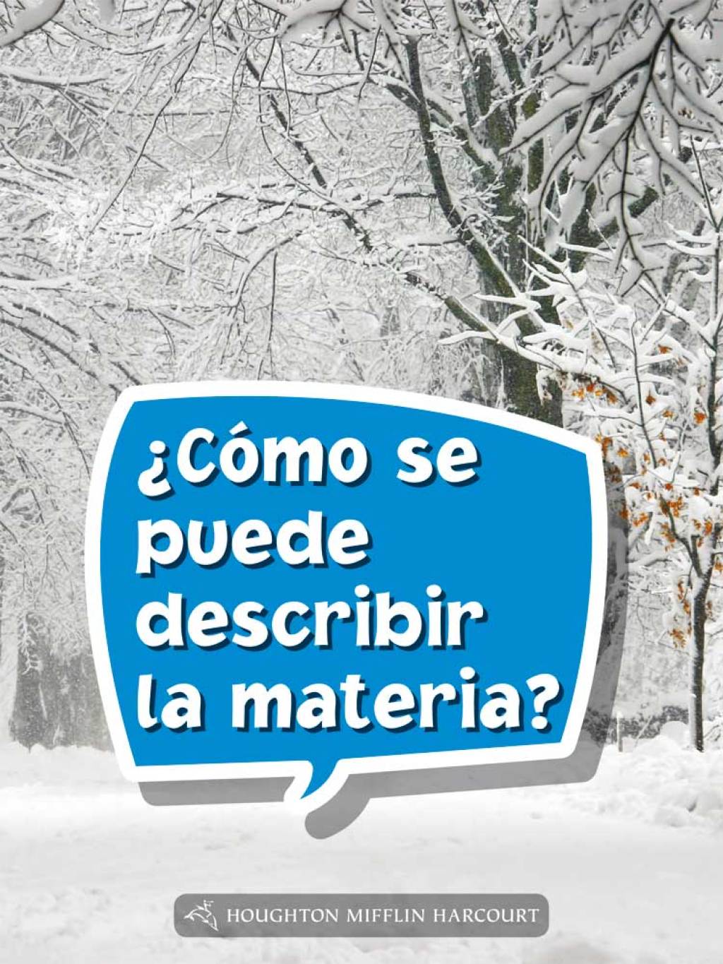 Â¿CÃ³mo se puede describir la materia? 1st Edition - (PDF/EPUB Version)
