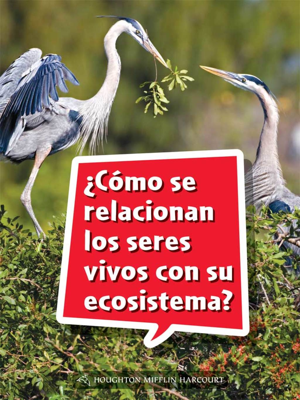 Â¿CÃ³mo se relacionan los seres vivos con su ecosistema? 1st Edition - (PDF/EPUB Version)