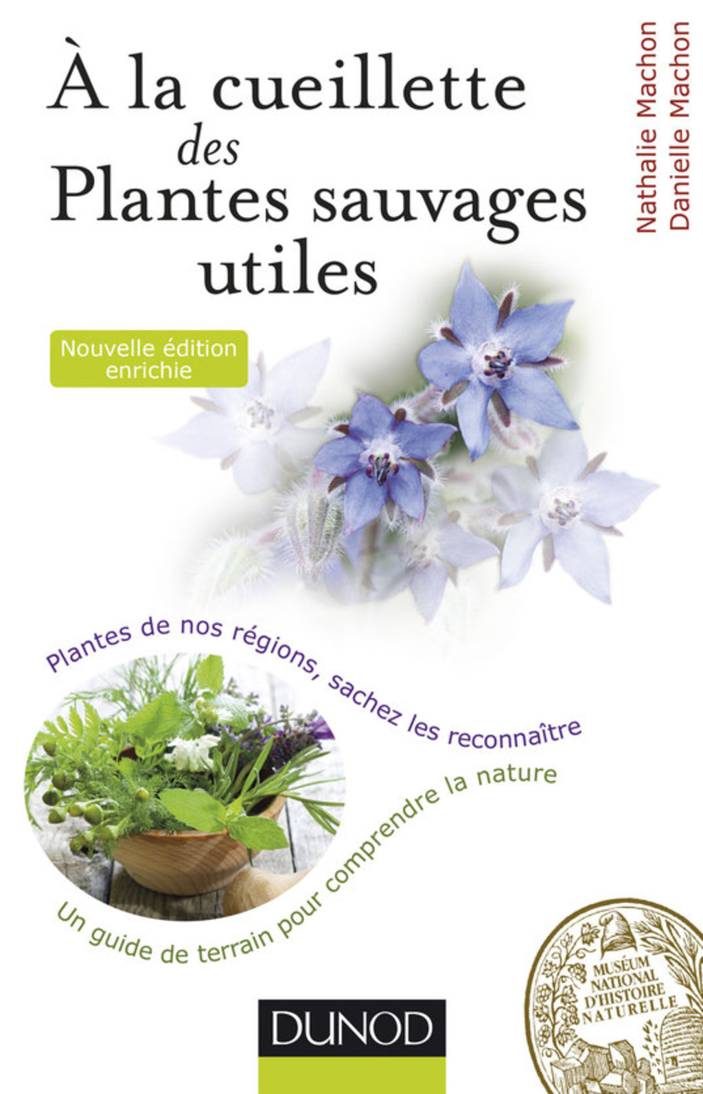 Ã€ la cueillette des plantes sauvages utiles - 2e Ã©dition Plantes mÃ©dicinales, tincturiales, aromatiques... sachez les reconnaÃ®tre 2nd Edition - (PDF/EPUB Version)