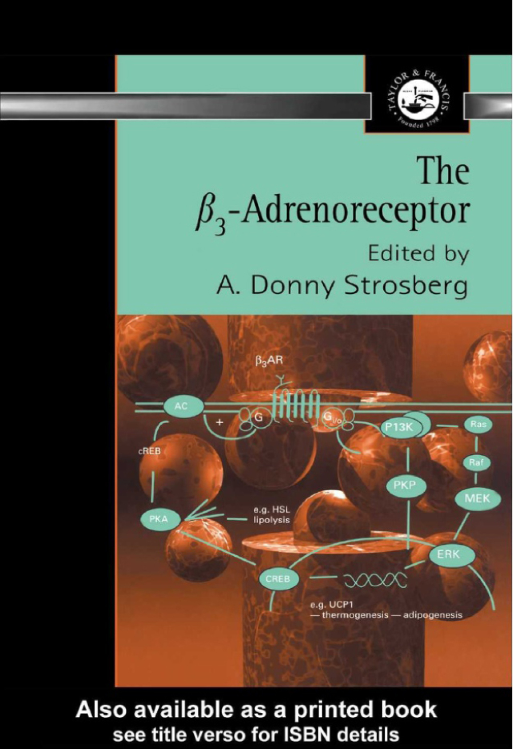 Î²3 Adrenoreceptor 1st Edition â€“ PDF/EPUB Version Downloadable