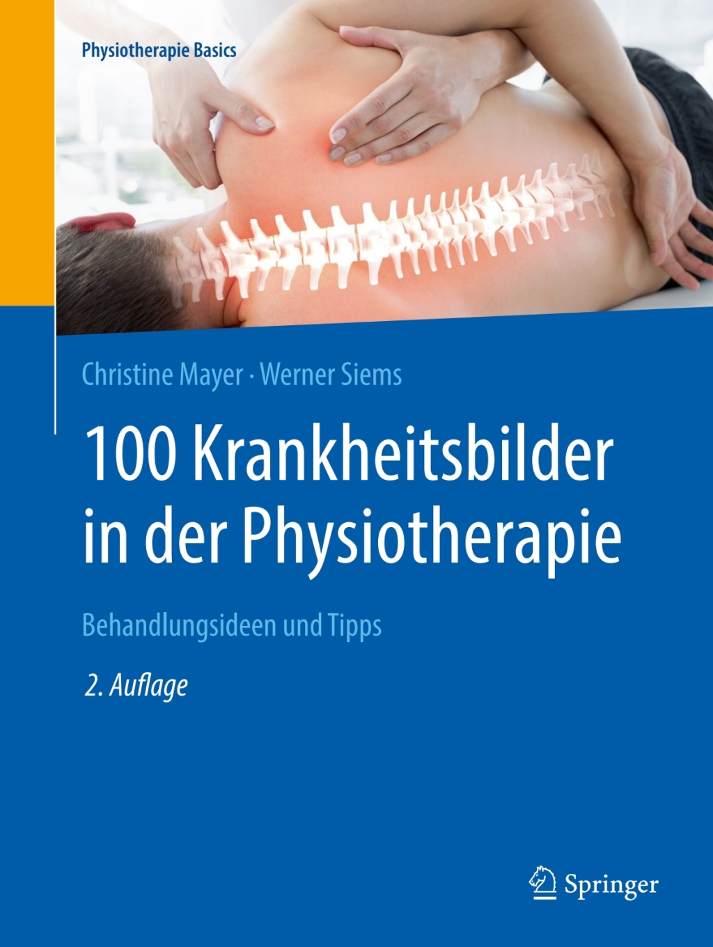 100 Krankheitsbilder in der Physiotherapie Behandlungsideen und Tipps 2nd Edition â€“ PDF/EPUB Version Downloadable