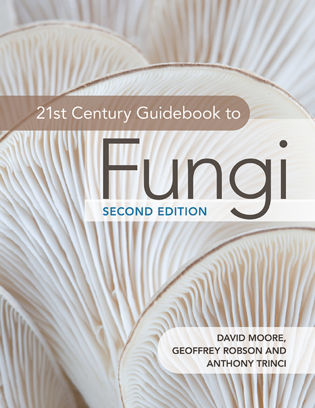 21st Century Guidebook to Fungi 2nd Edition â€“ PDF/EPUB Version Downloadable