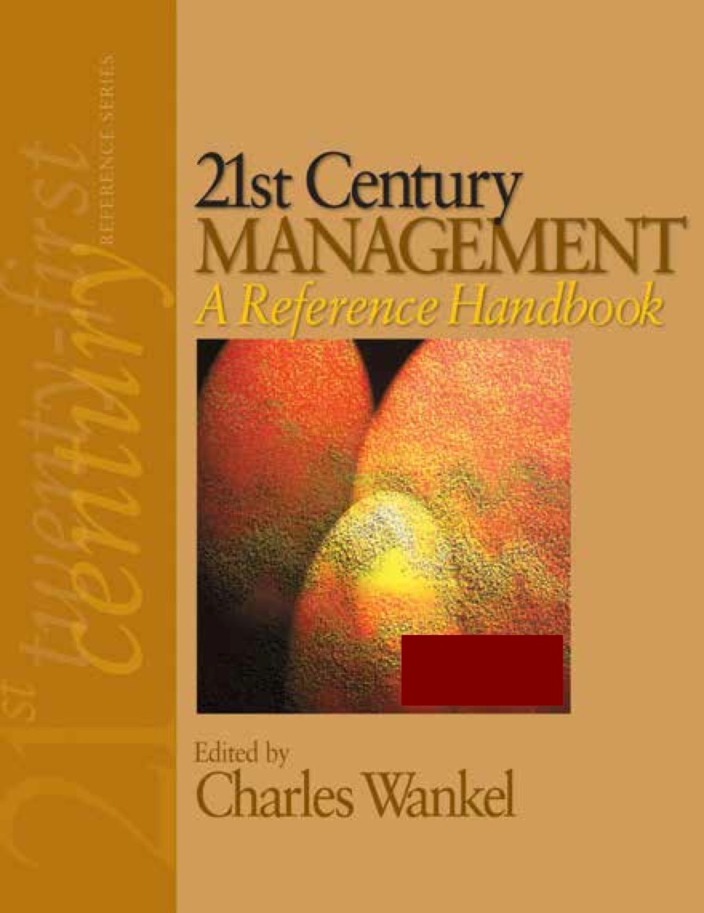 21st Century Management: A Reference Handbook 1st Edition â€“ PDF/EPUB Version Downloadable