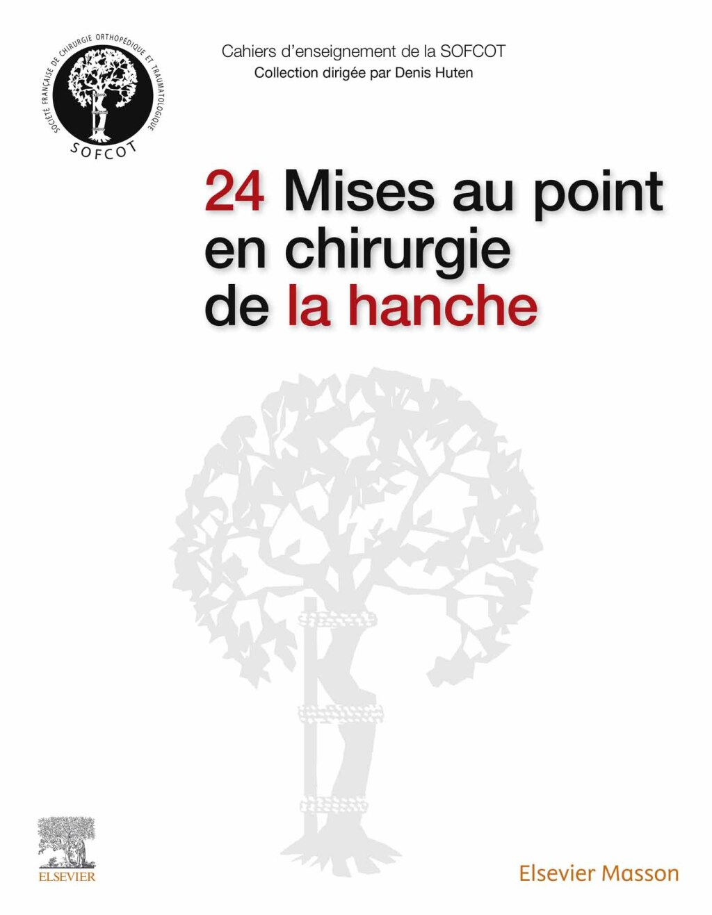 24 Mises au point en chirurgie de la hanche 1st Edition â€“ PDF/EPUB Version Downloadable