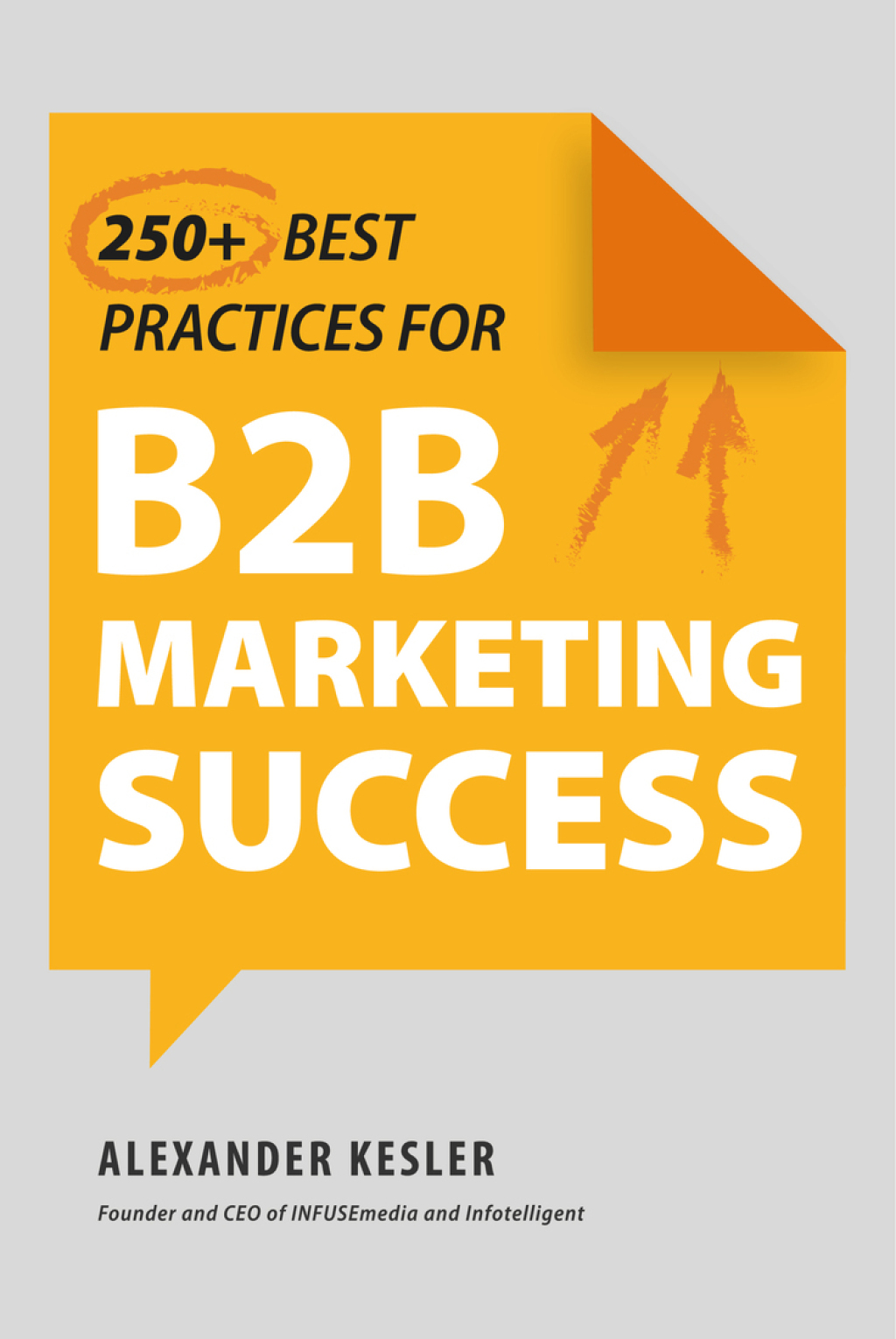 250+ Best Practices for B2B Marketing Success - (PDF/EPUB Version)