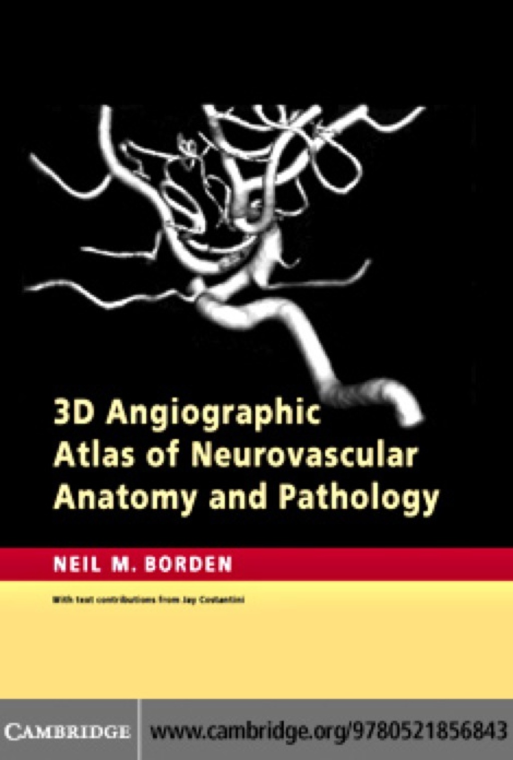 3D Angiographic Atlas of Neurovascular Anatomy and Pathology 1st Edition â€“ PDF/EPUB Version Downloadable