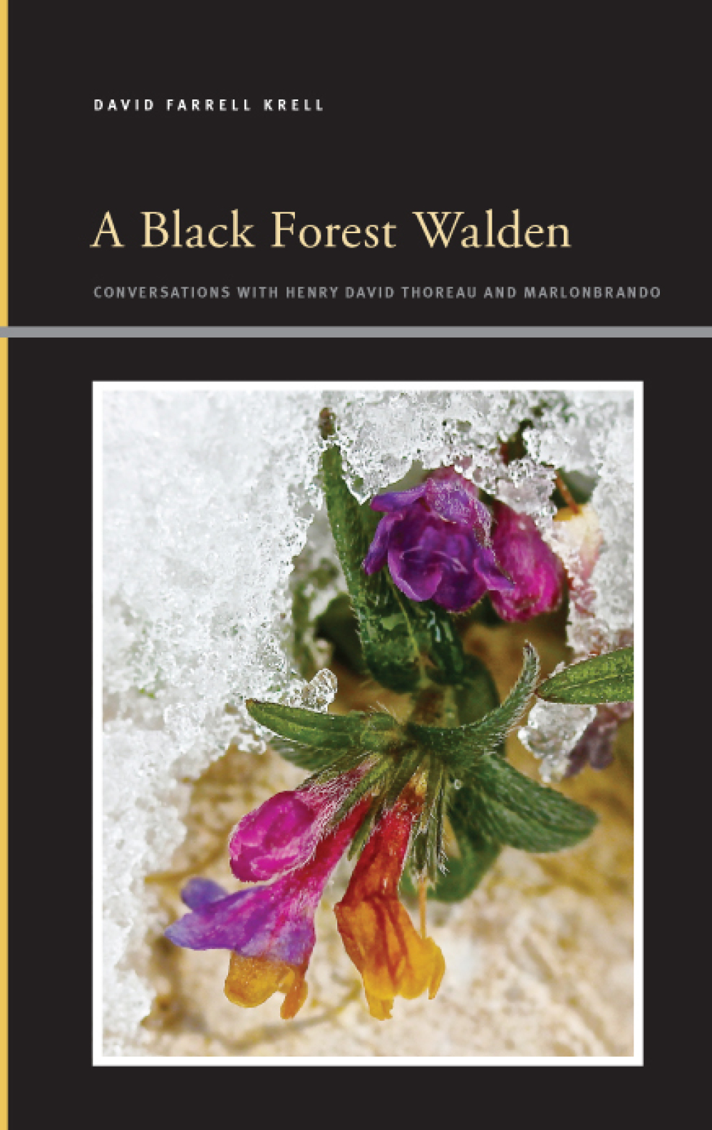 A Black Forest Walden Conversations with Henry David Thoreau and Marlonbrando - (PDF/EPUB Version)