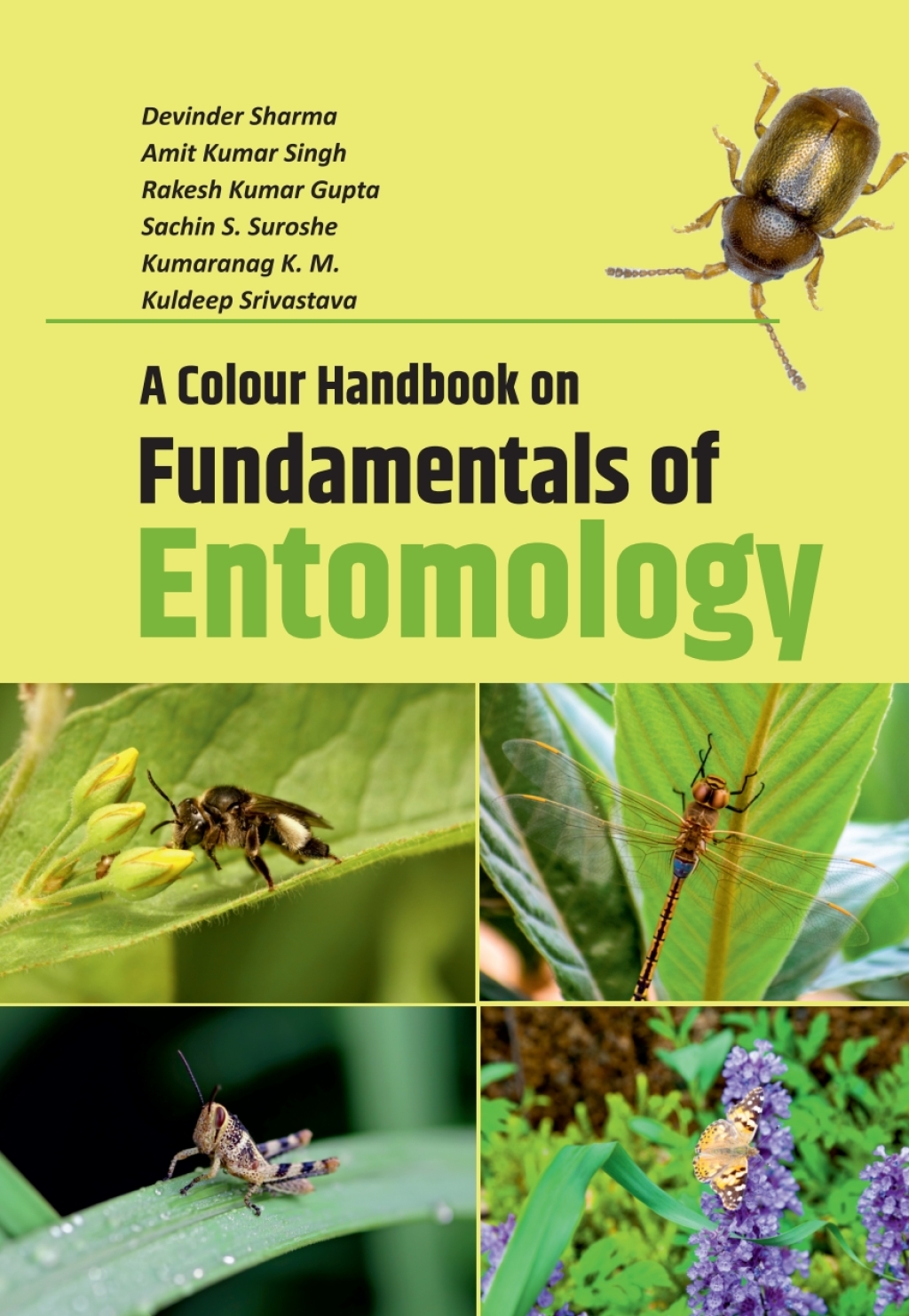 A Colour Handbook on Fundamentals of Entomology 1st Edition â€“ PDF/EPUB Version Downloadable