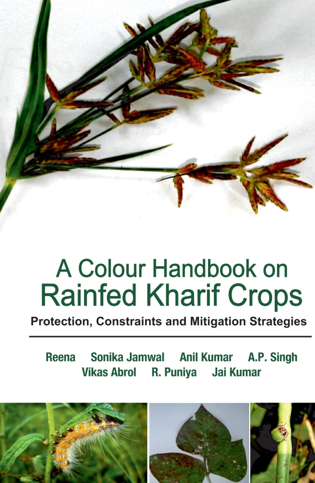 A Colour Handbook on Rainfed Kharif Crops: Protection, Constraints and Mitigation Strategies 1st Edition â€“ PDF/EPUB Version Downloadable