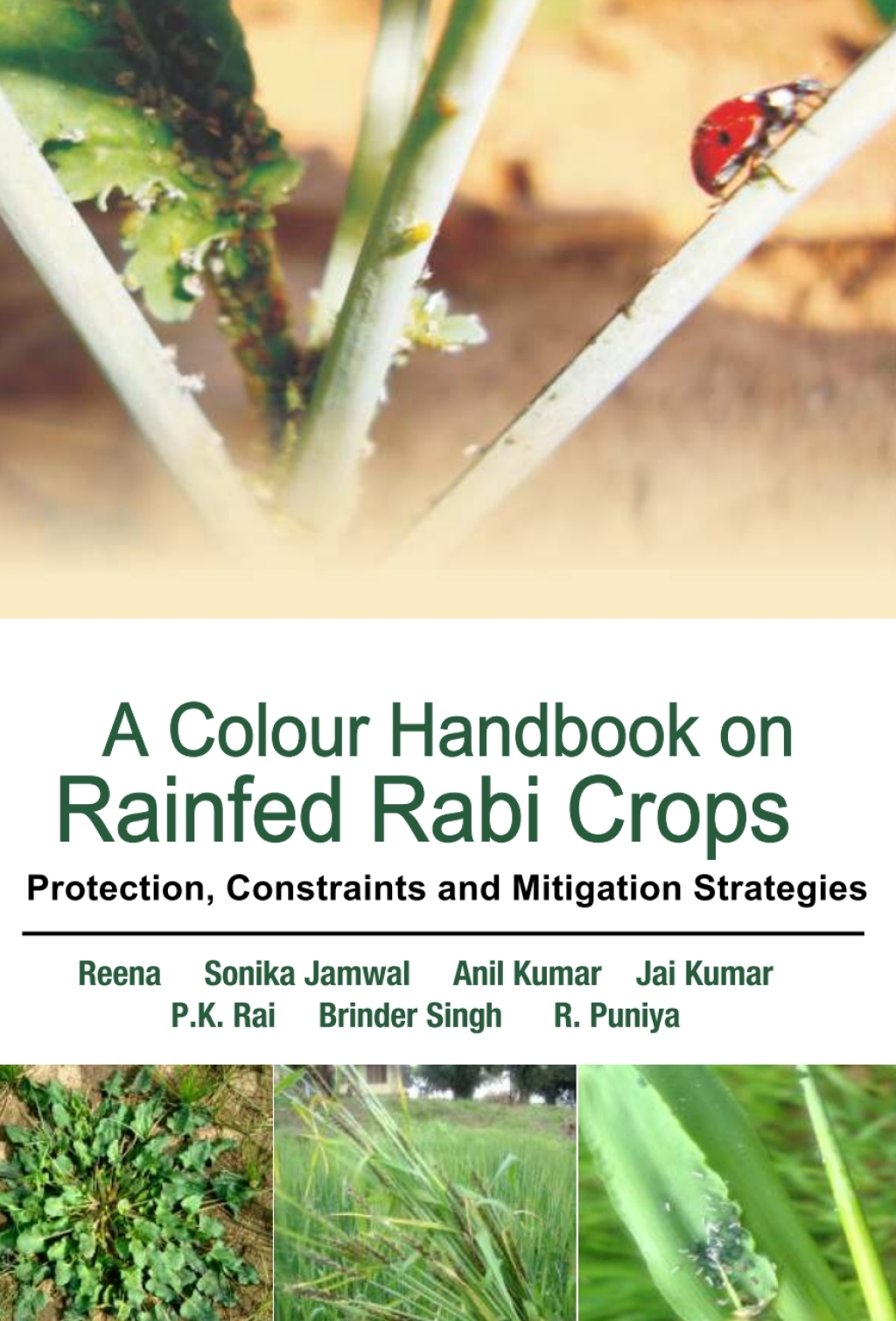 A Colour Handbook on Rainfed Rabi Crops: Protection,Constraints and Mitigation Strategies 1st Edition â€“ PDF/EPUB Version Downloadable