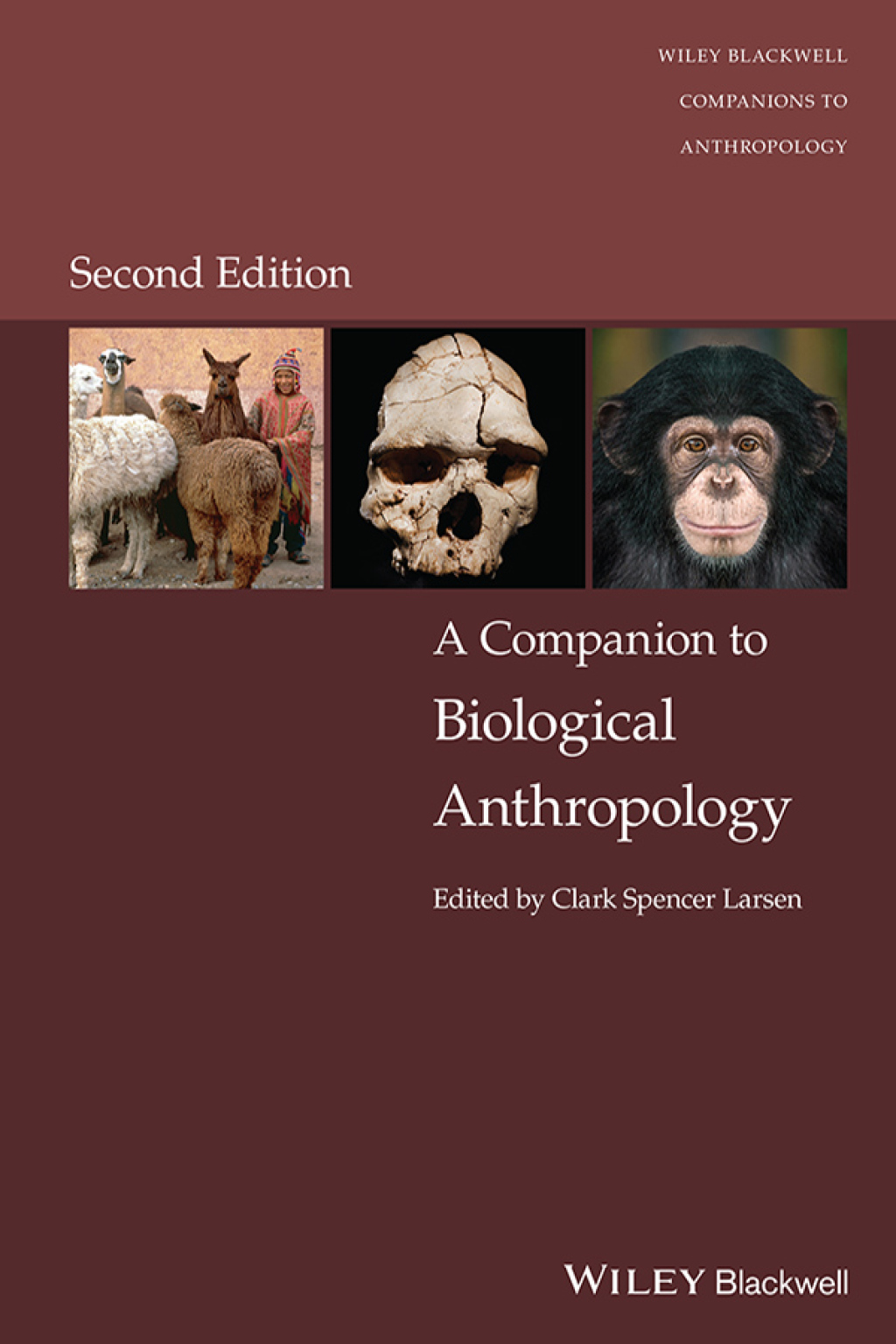 A Companion to Biological Anthropology 2nd Edition â€“ PDF/EPUB Version Downloadable