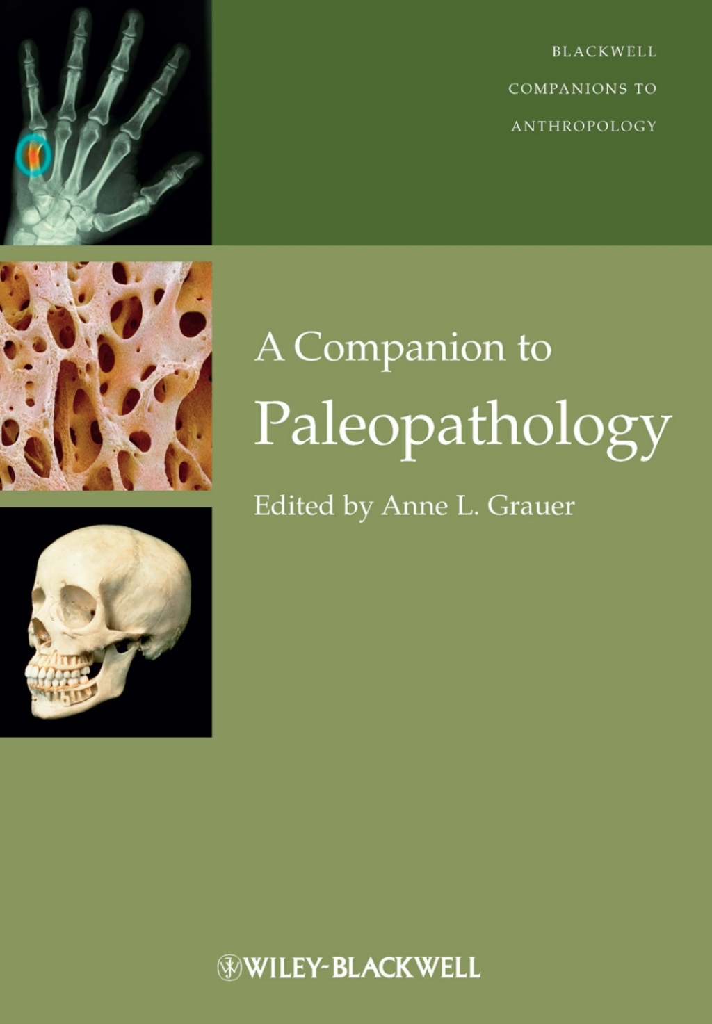 A Companion to Paleopathology 1st Edition â€“ PDF/EPUB Version Downloadable