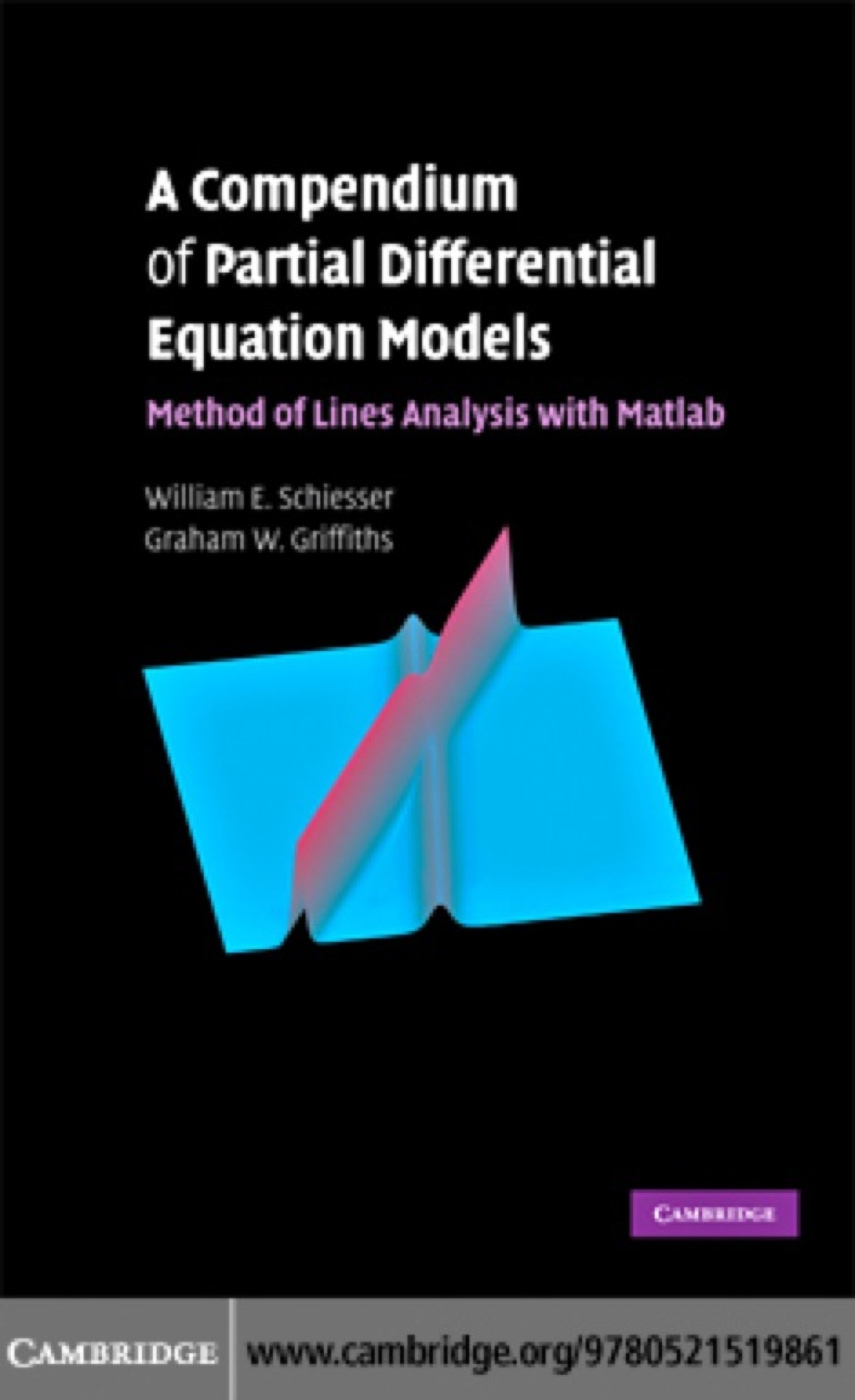 A Compendium of Partial Differential Equation Models Method of Lines ...