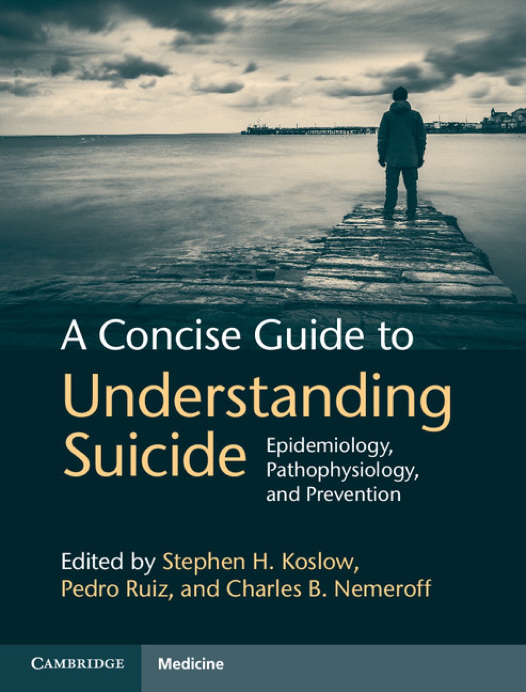 A Concise Guide to Understanding Suicide Epidemiology, Pathophysiology and Prevention 1st Edition â€“ PDF/EPUB Version Downloadable