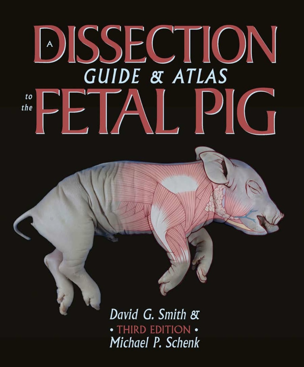 A Dissection Guide & Atlas to the Fetal Pig 3rd Edition - (PDF/EPUB Version)