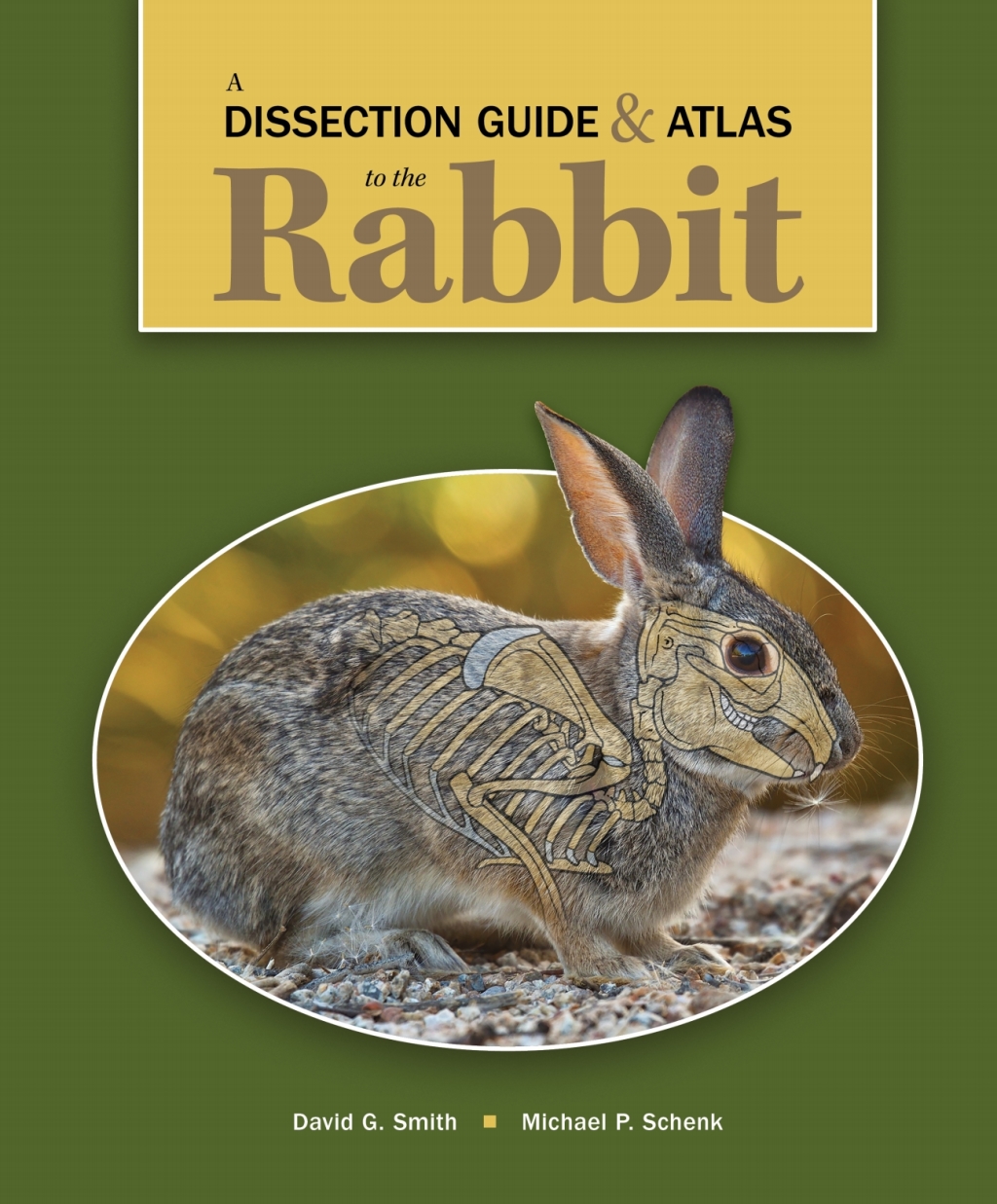 A Dissection Guide & Atlas to the Rabbit 1st Edition - (PDF/EPUB Version)