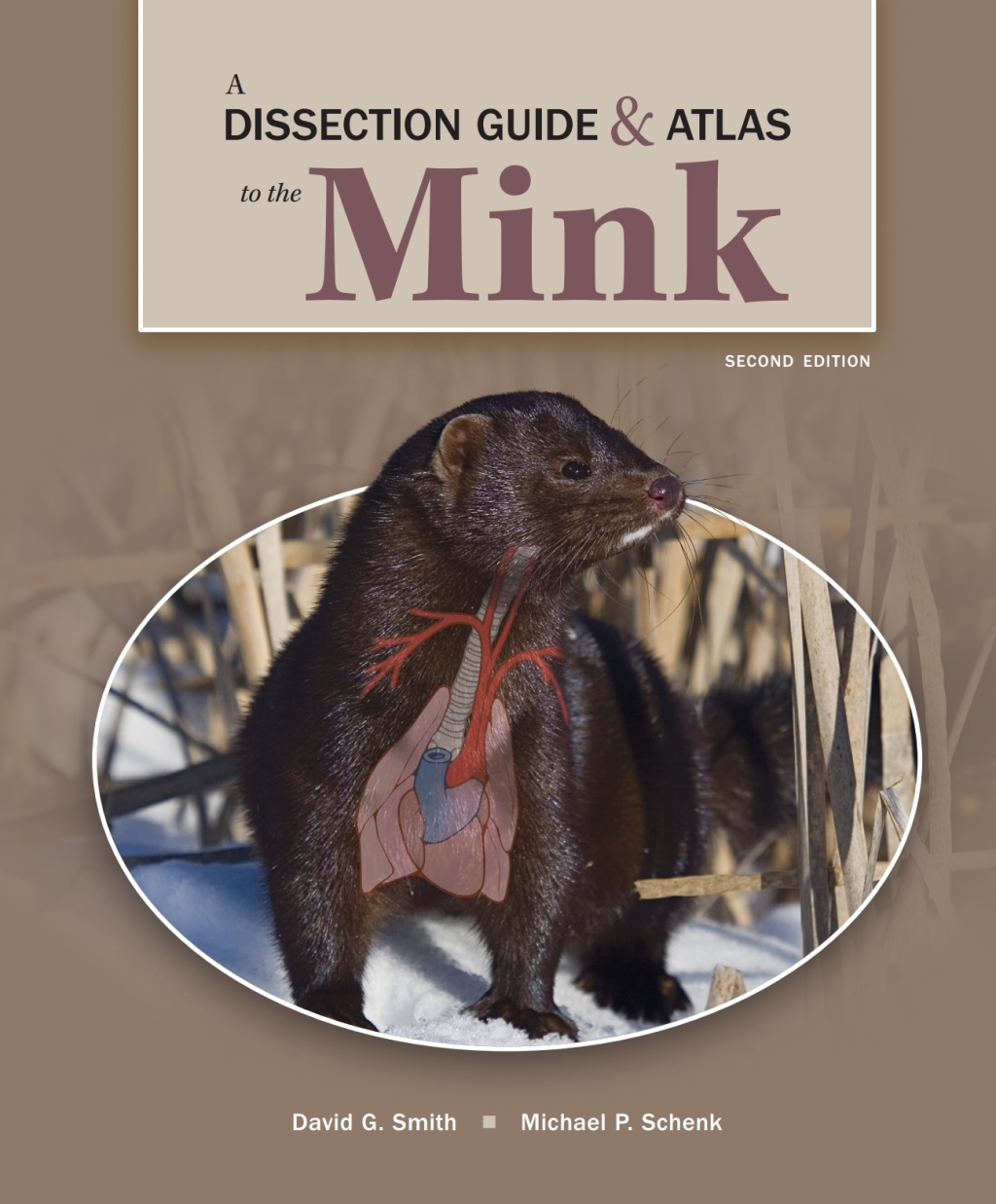A Dissection Guide and Atlas to the Mink 2nd Edition - (PDF/EPUB Version)