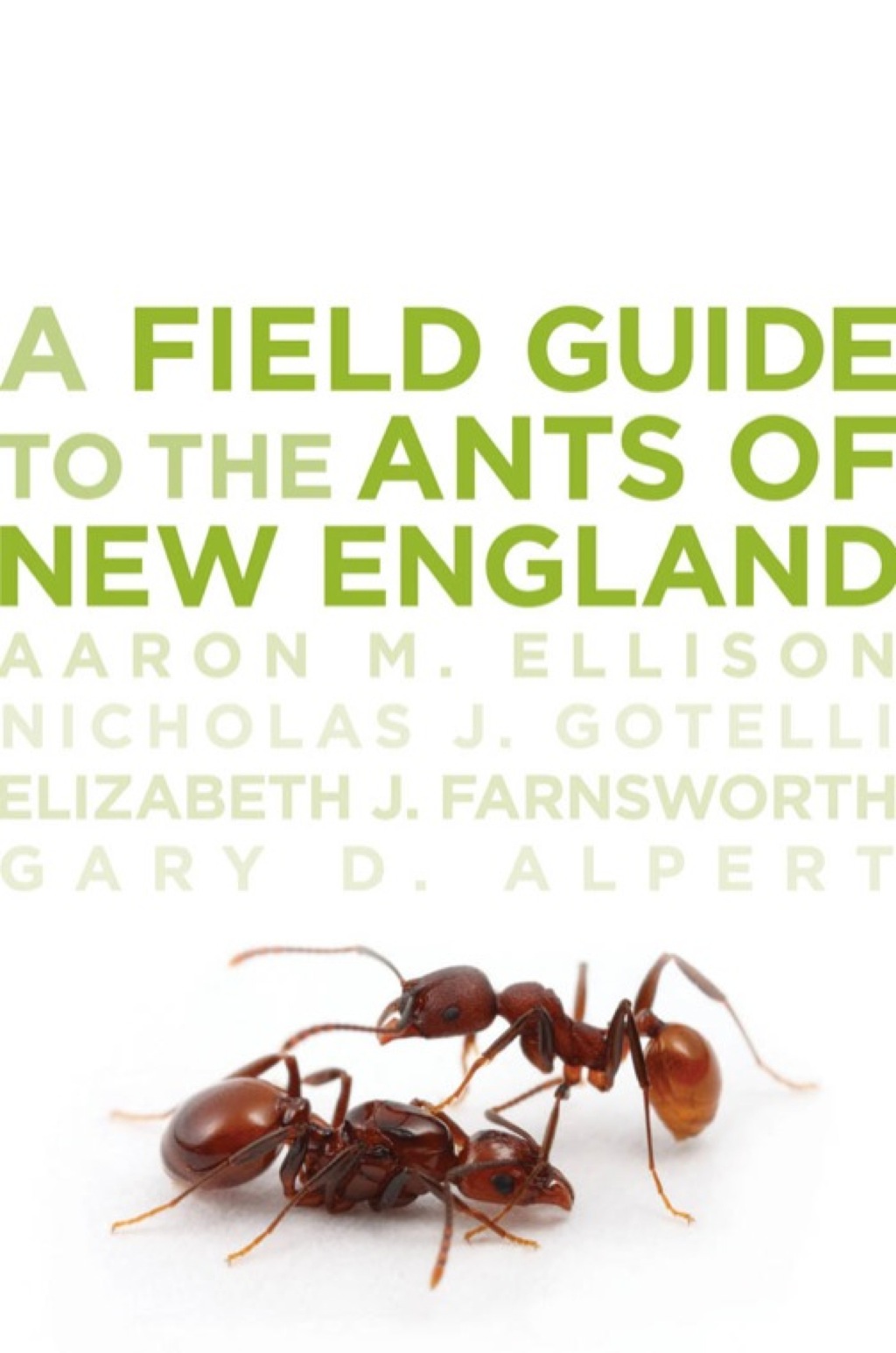 A Field Guide to the Ants of New England â€“ PDF/EPUB Version ...