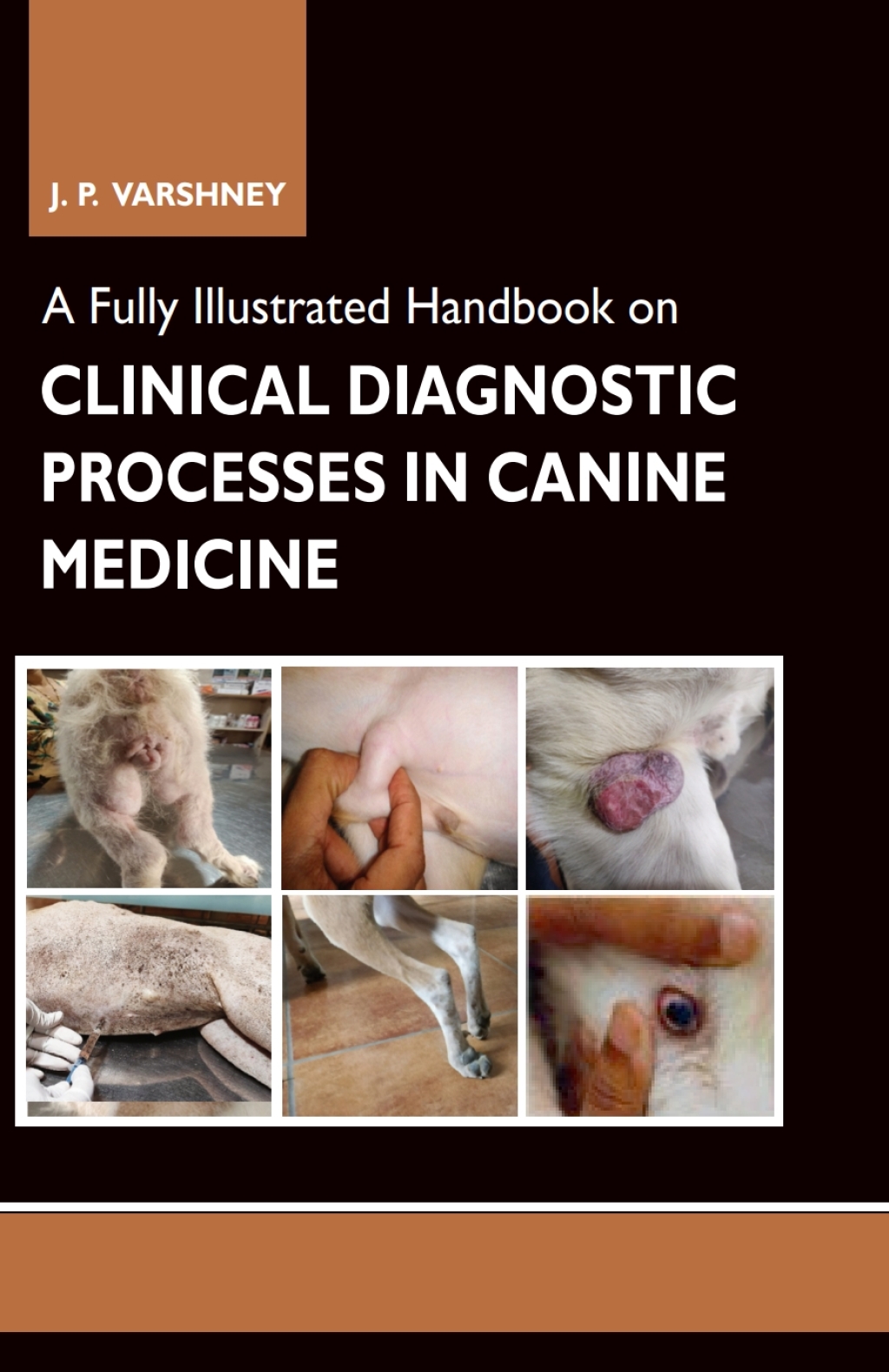 A Fully Illustrated Handbook on Clinical Diagnostic Processes in Canine Medicine 1st Edition â€“ PDF/EPUB Version Downloadable