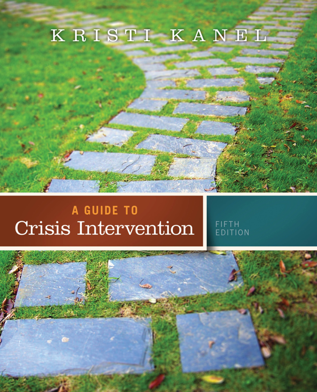 A Guide to Crisis Intervention 5th Edition â€“ PDF/EPUB Version Downloadable