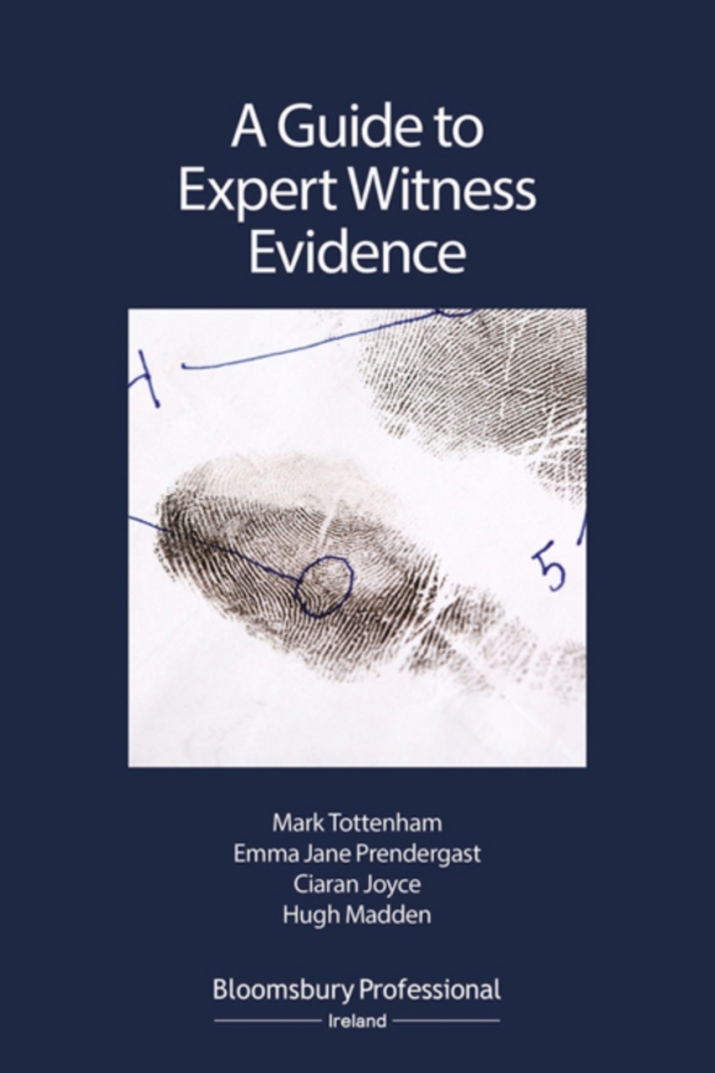 A Guide to Expert Witness Evidence 1st Edition â€“ PDF/EPUB Version Downloadable