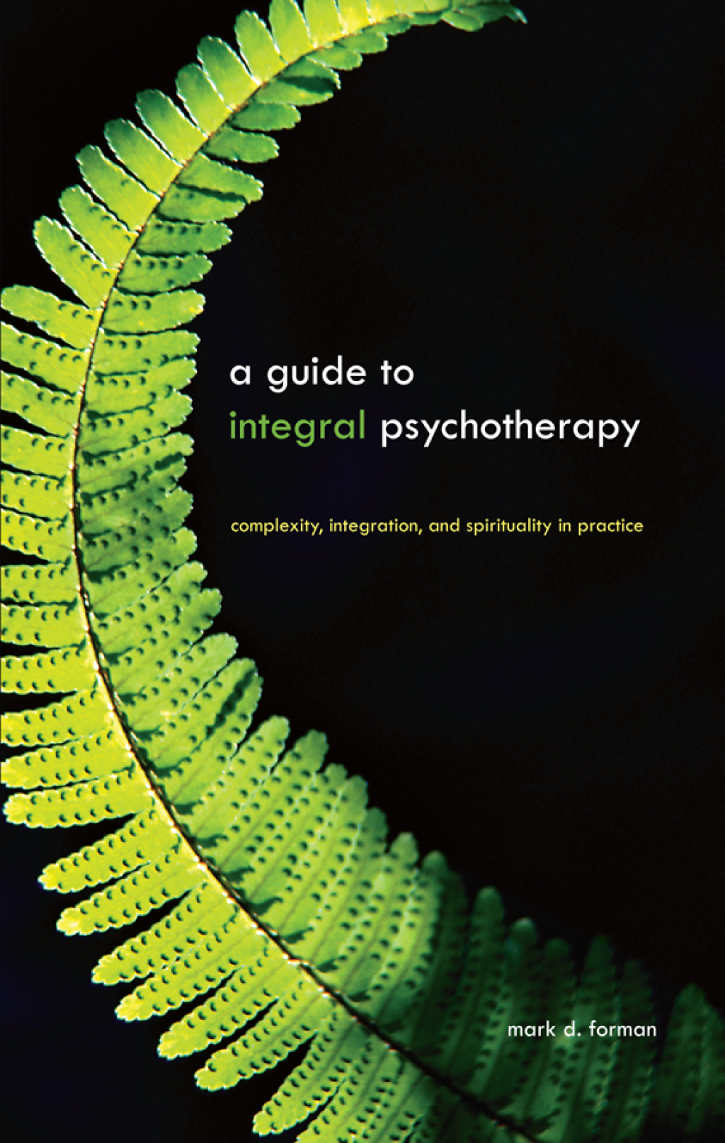 A Guide to Integral Psychotherapy Complexity, Integration, and Spirituality in Practice - (PDF/EPUB Version)