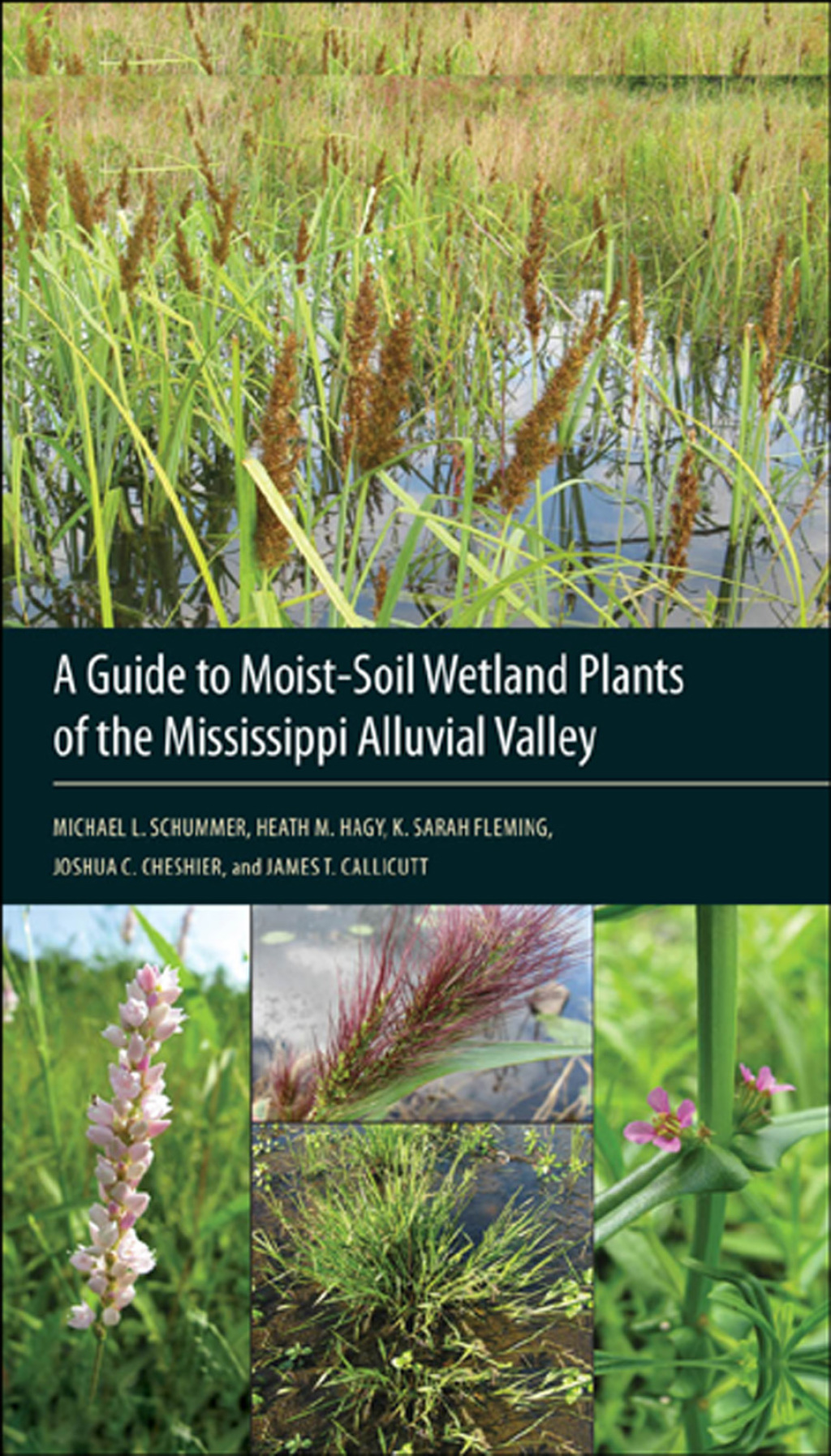 A Guide to Moist-Soil Wetland Plants of the Mississippi Alluvial Valley - (PDF/EPUB Version)
