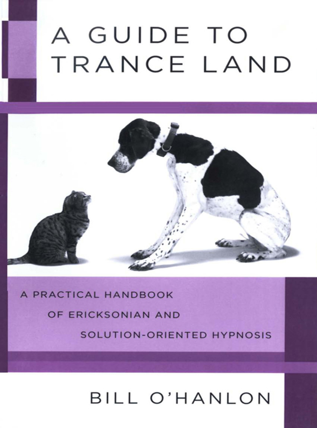 A Guide to Trance Land: A Practical Handbook of Ericksonian and Solution-Oriented Hypnosis - (PDF/EPUB Version)