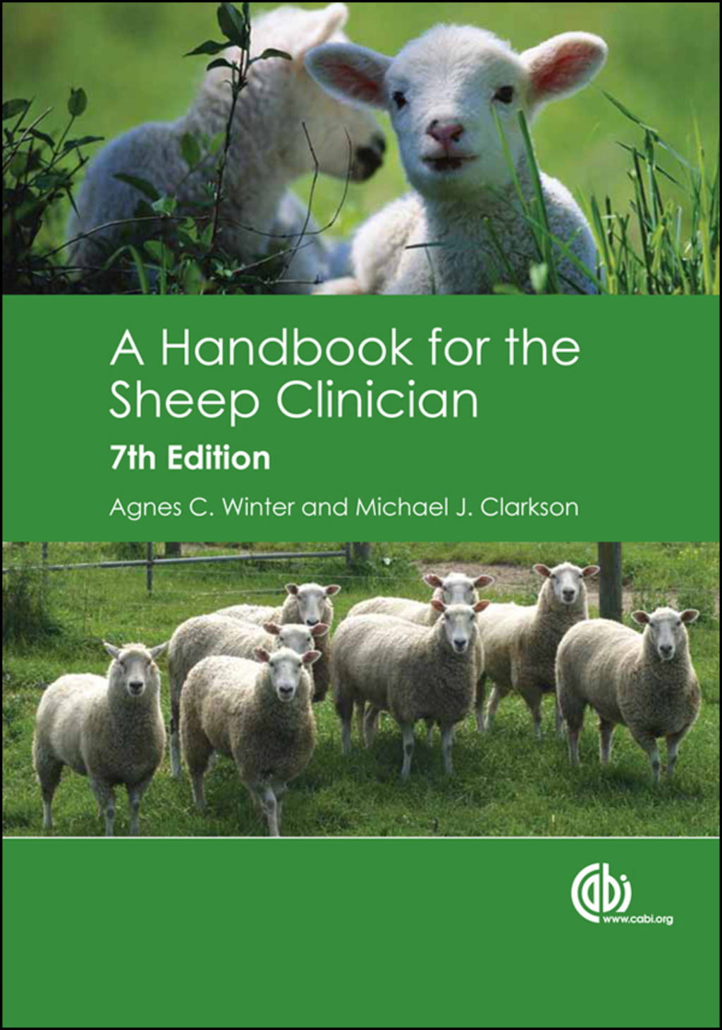 A Handbook for the Sheep Clinician 7th Edition â€“ PDF/EPUB Version Downloadable