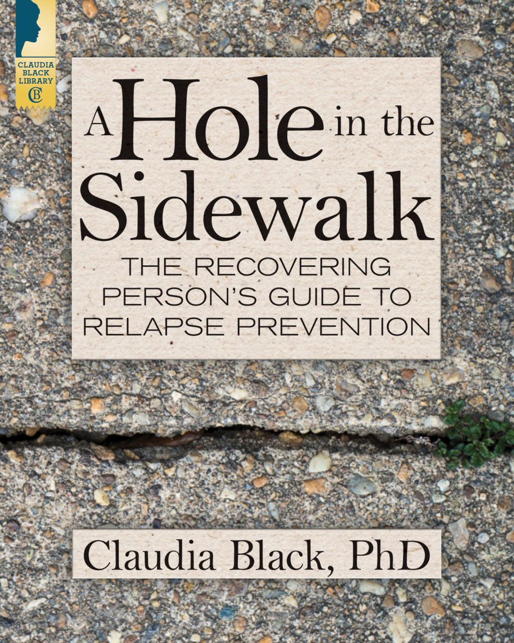 A Hole in the Sidewalk The Recovering Person's Guide to Relapse Prevention - (PDF/EPUB Version)