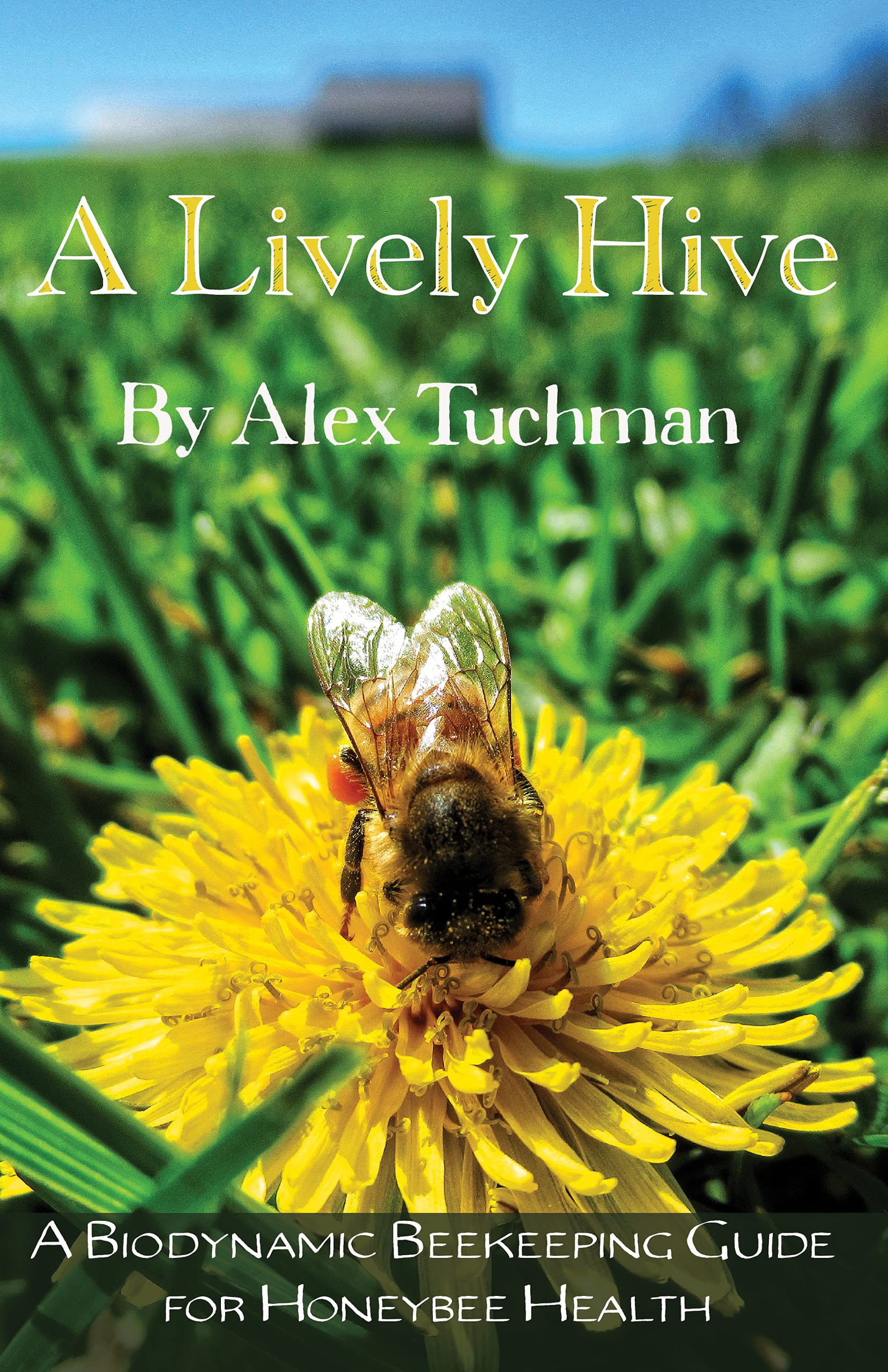 Beekeeping Guide.pdf A Lively Hive: A Biodynamic Beekeeping Guide for Honeybee Health – PDF ...