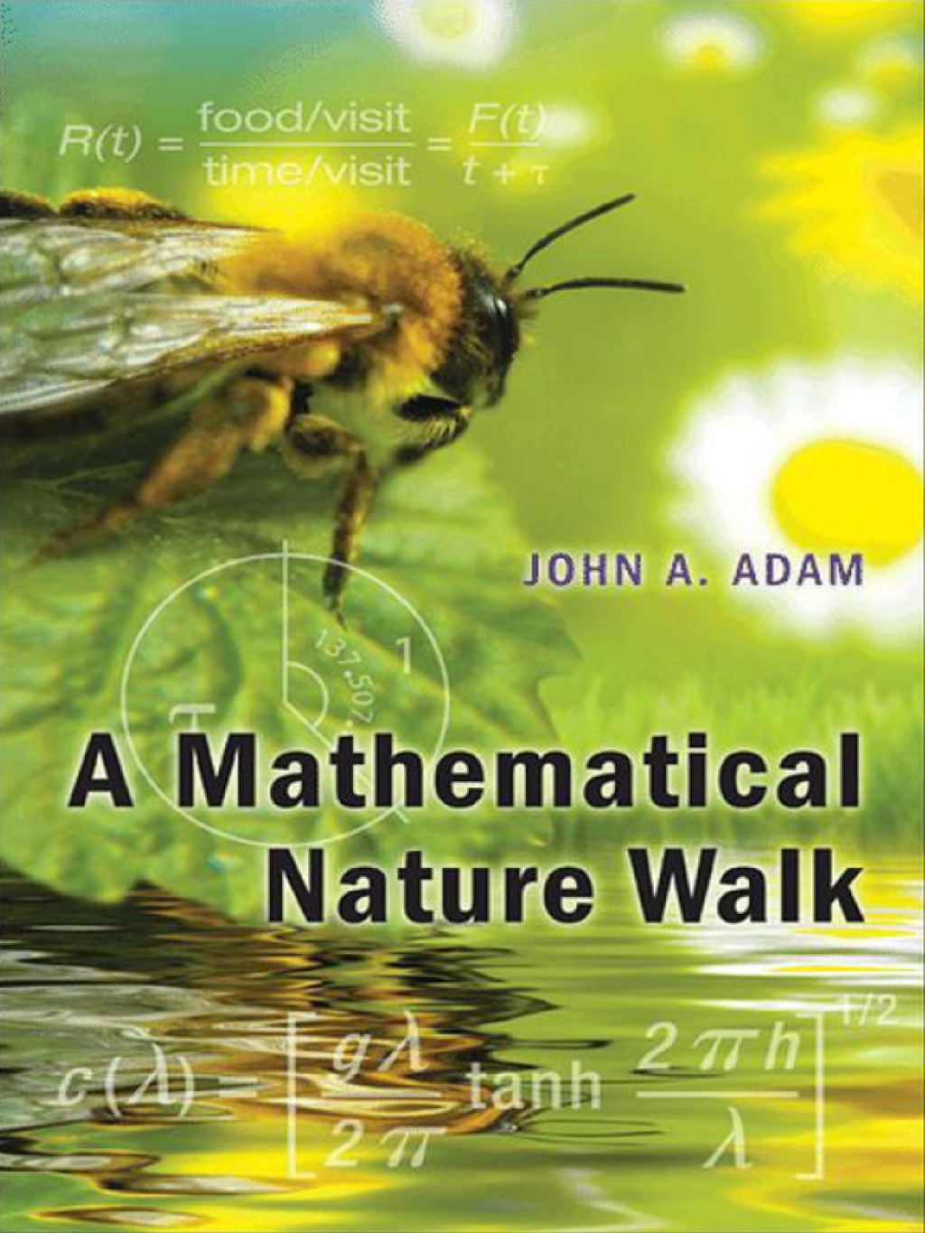 A Mathematical Nature Walk - (PDF/EPUB Version)
