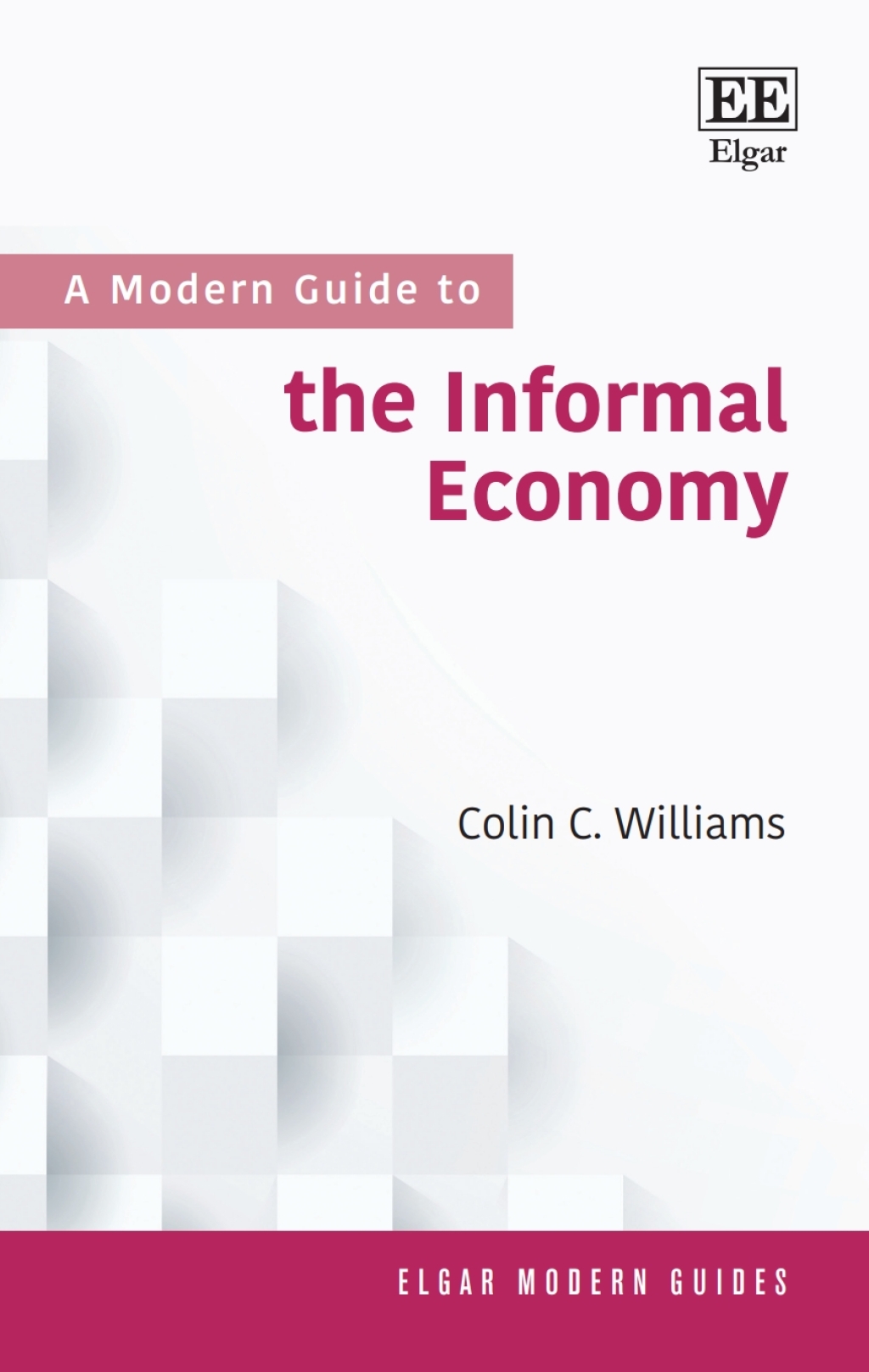 A Modern Guide to the Informal Economy 1st Edition â€“ PDF/EPUB Version Downloadable