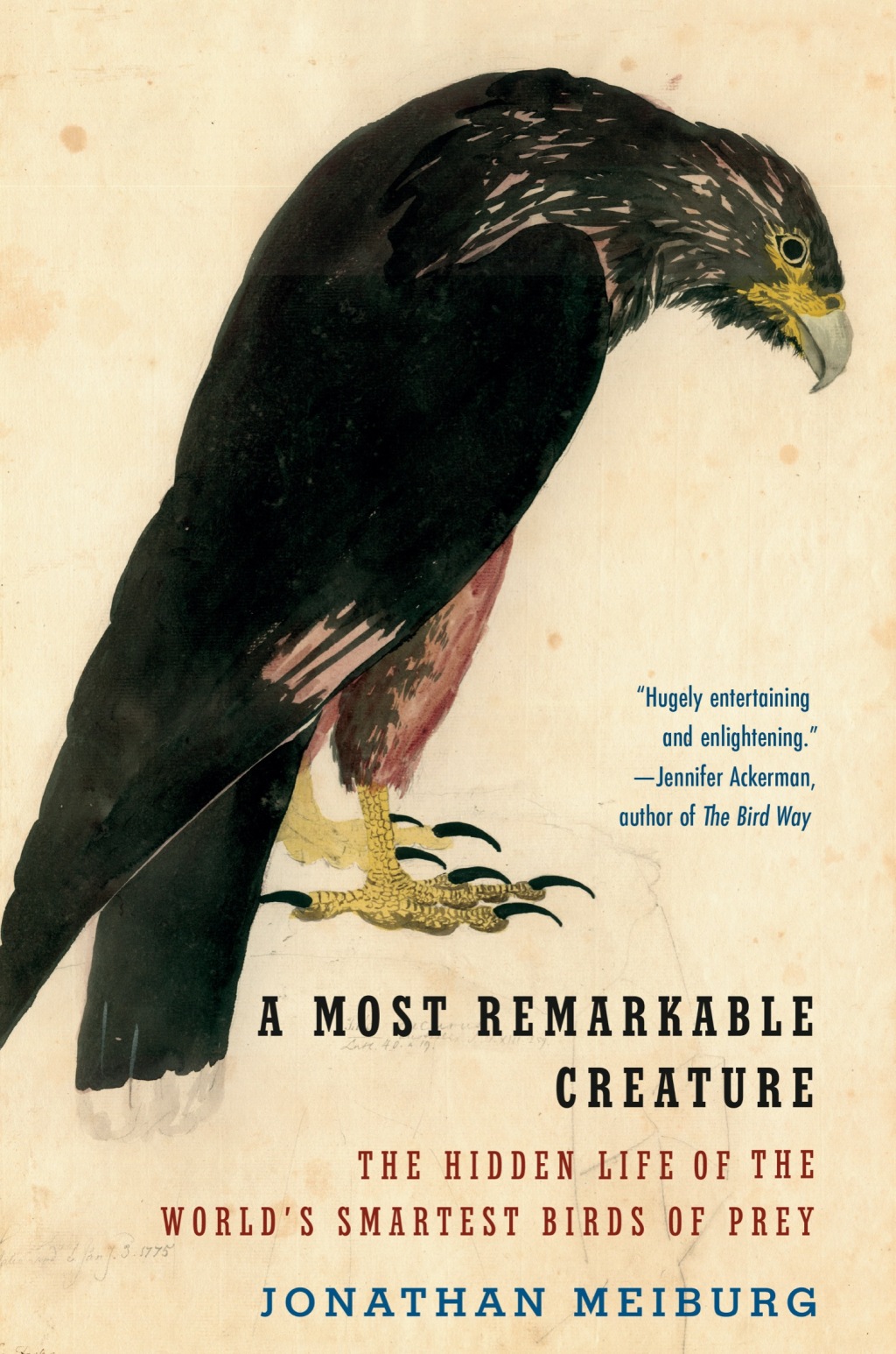 A Most Remarkable Creature The Hidden Life of the World's Smartest Birds of Prey - (PDF/EPUB Version)