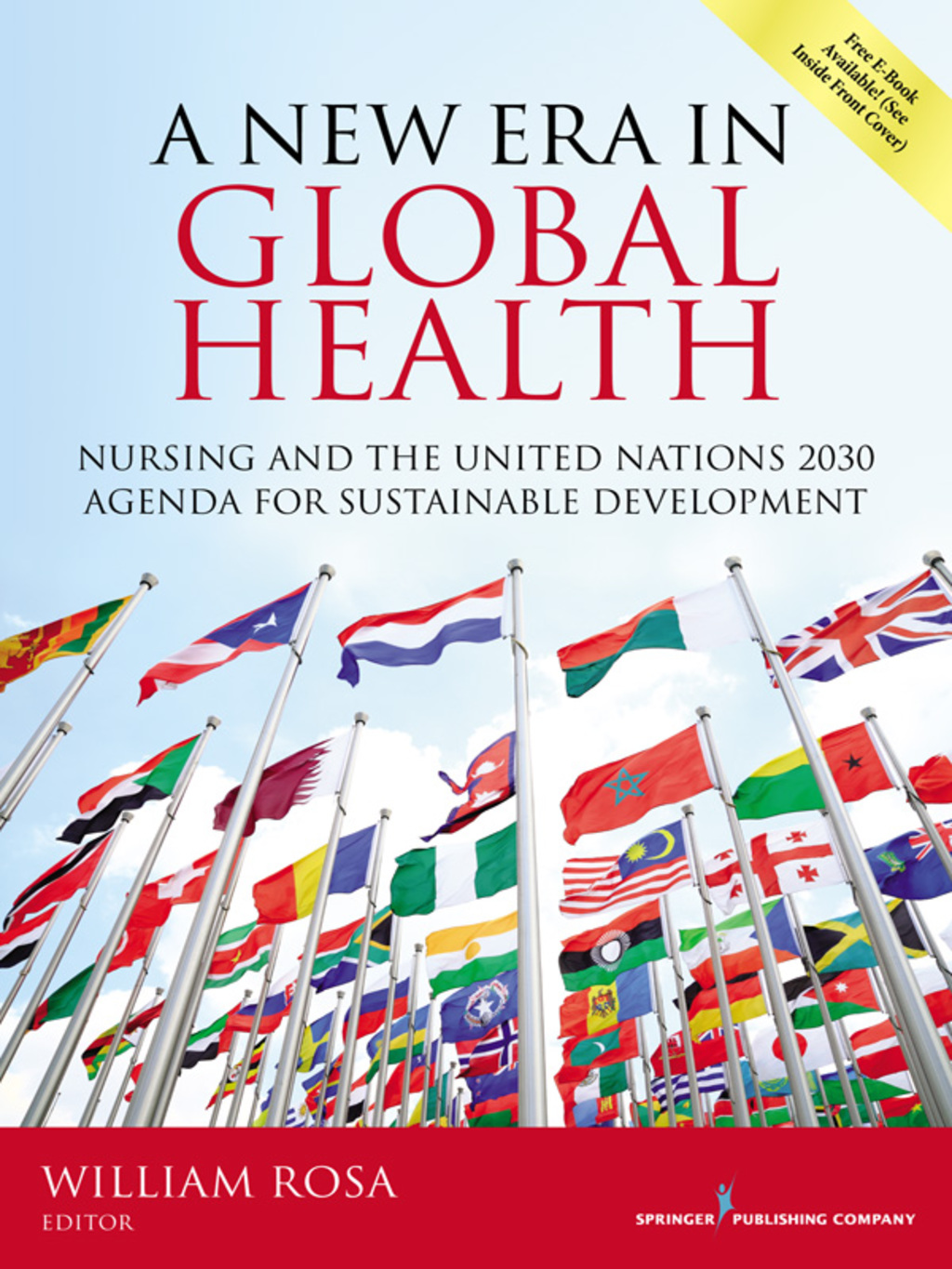 A New Era in Global Health Nursing and the United Nations 2030 Agenda for Sustainable Development 1st Edition â€“ PDF/EPUB Version Downloadable