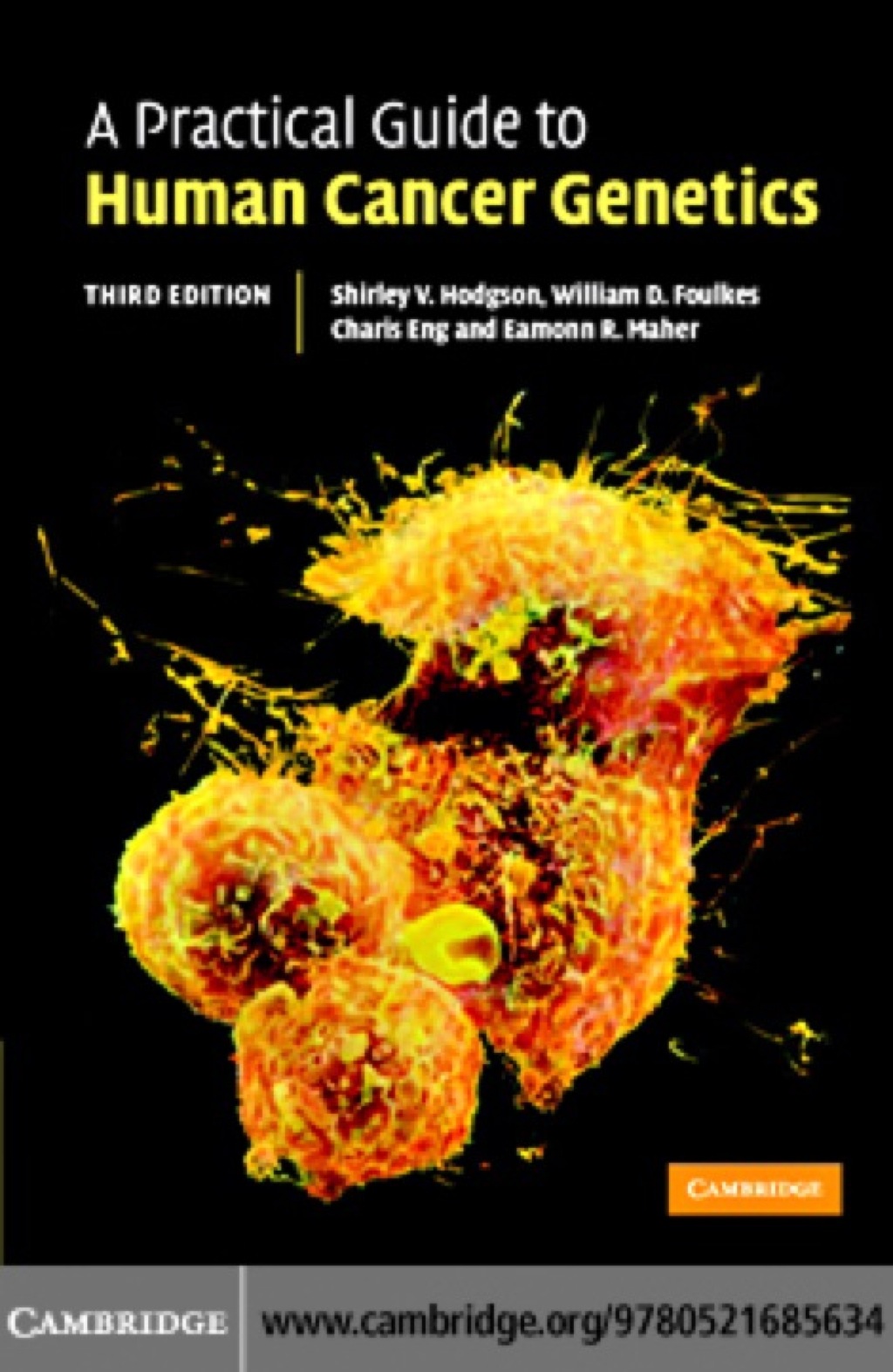 A Practical Guide to Human Cancer Genetics 3rd Edition â€“ PDF/EPUB ...