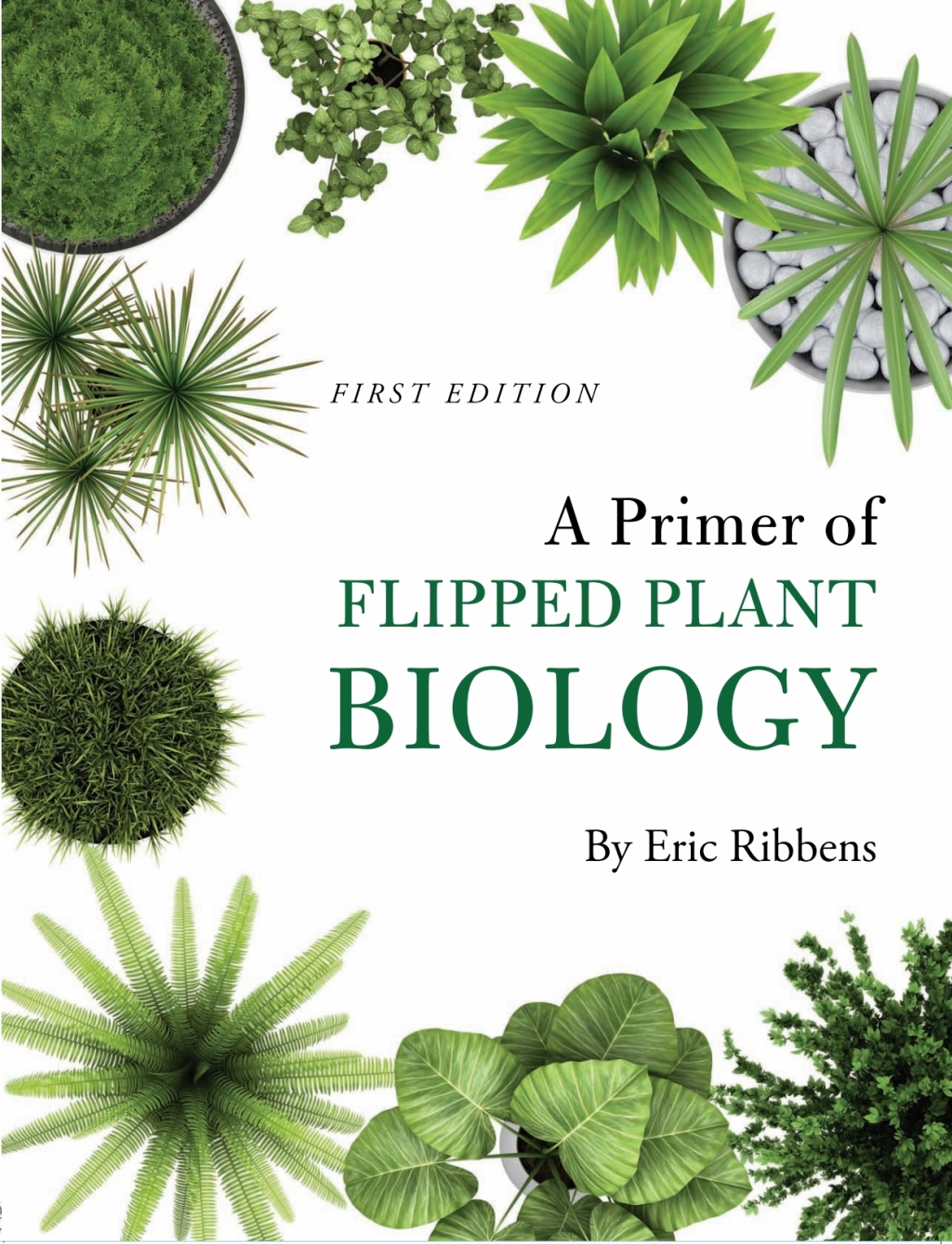 A Primer of Flipped Plant Biology 1st Edition â€“ PDF/EPUB Version Downloadable