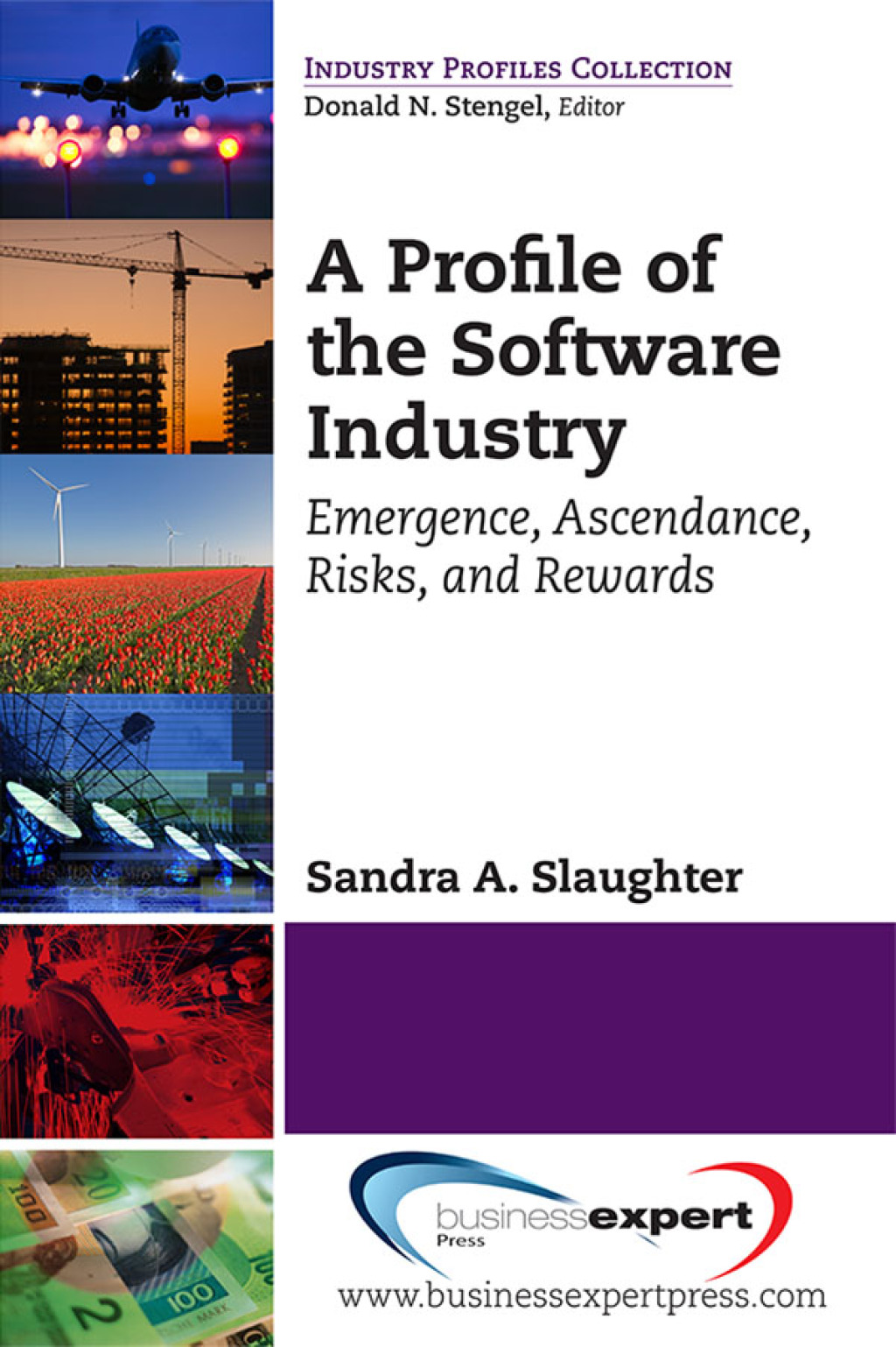 A Profile of the Software Industry Emergence, Ascendance, Risks, and Rewards - (PDF/EPUB Version)