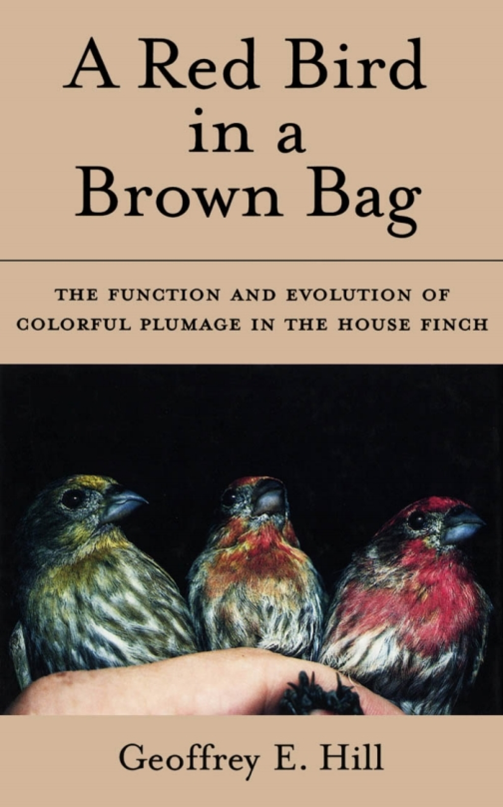 A Red Bird in a Brown Bag - (PDF/EPUB Version)
