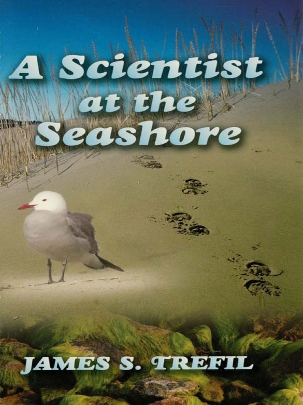 A Scientist at the Seashore - (PDF/EPUB Version)