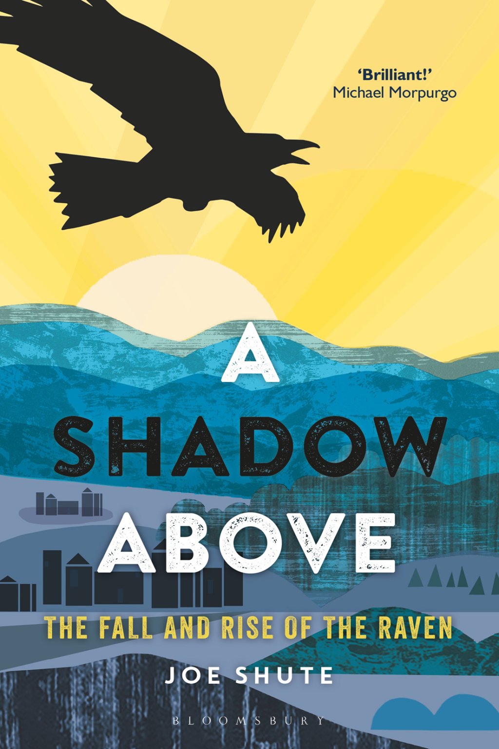 A Shadow Above The Fall and Rise of the Raven 1st Edition - (PDF/EPUB Version)