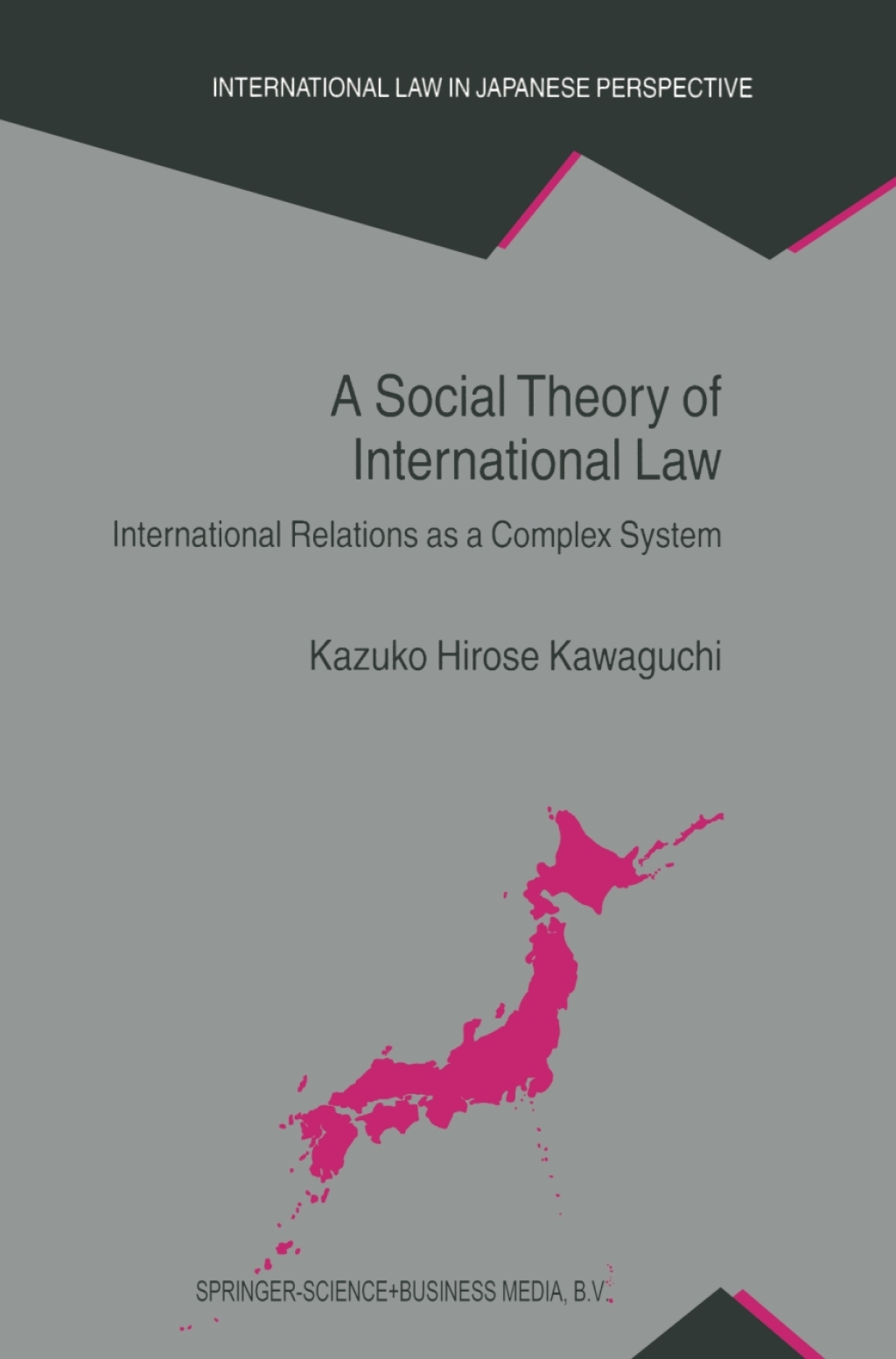 A Social Theory of International Law International Relations as a ...