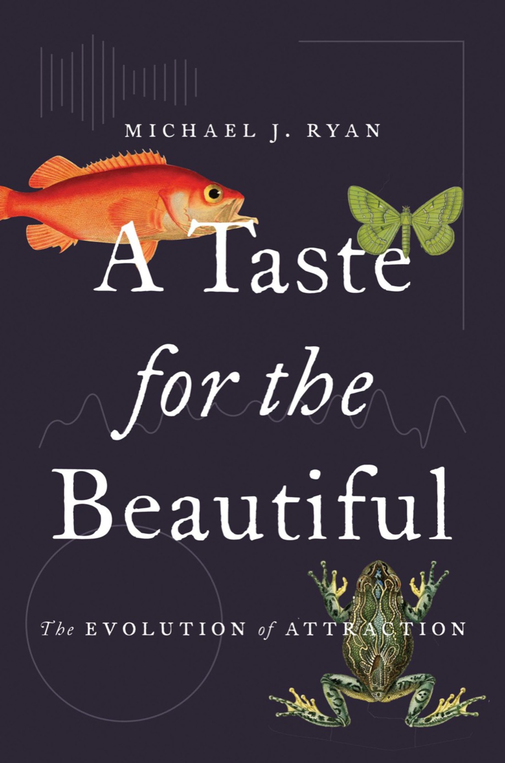 A Taste for the Beautiful The Evolution of Attraction - (PDF/EPUB Version)