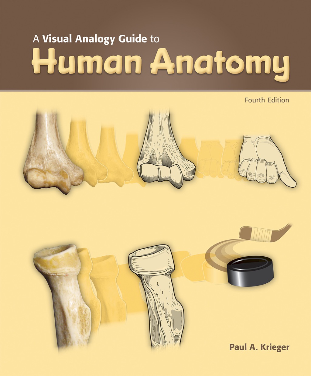 A Visual Analogy Guide to Human Anatomy 4th Edition - (PDF/EPUB Version)