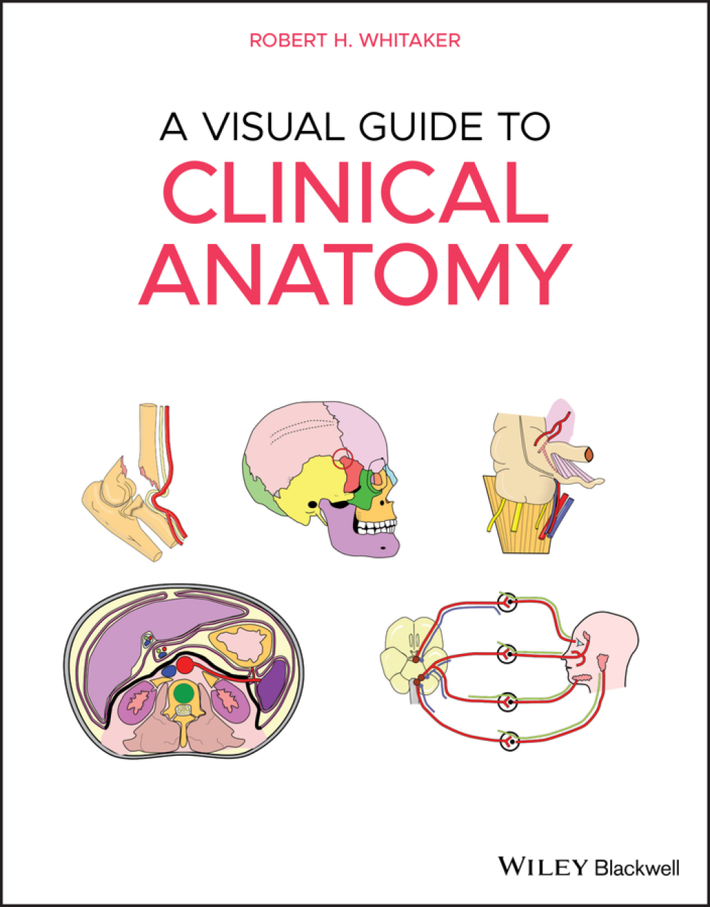 A Visual Guide to Clinical Anatomy 1st Edition â€“ PDF/EPUB Version Downloadable