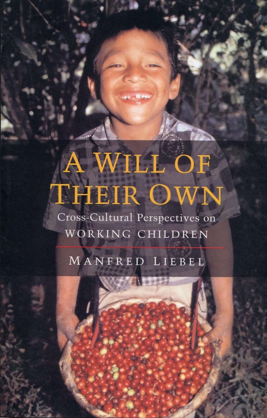 A Will of Their Own Cross-Cultural Perspectives on Working Children 1st Edition â€“ PDF/EPUB Version Downloadable