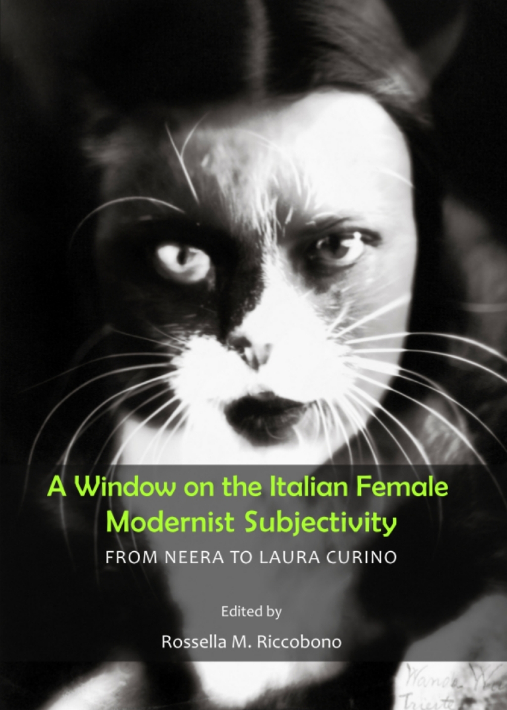 A Window on the Italian Female Modernist Subjectivity From Neera to Laura Curino 1st Edition â€“ PDF/EPUB Version Downloadable