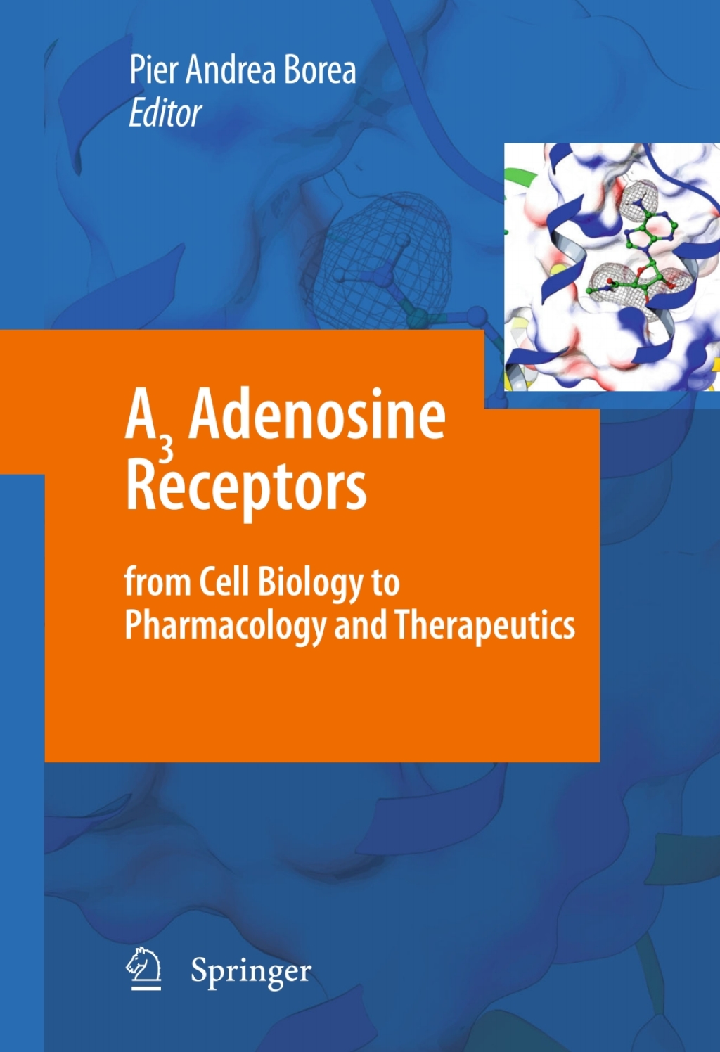 A3 Adenosine Receptors from Cell Biology to Pharmacology and Therapeutics â€“ PDF/EPUB Version Downloadable
