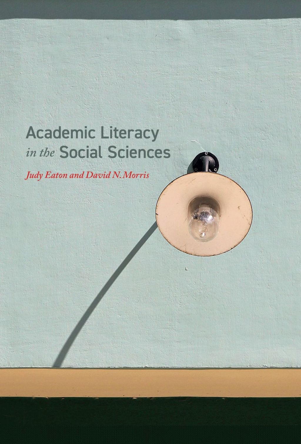 Academic Literacy in the Social Sciences 1st Edition – PDF/EPUB Version Downloadable Academic Literacy in the Social Sciences 1st Edition – PDF/EPUB Version Downloadable - Image 1