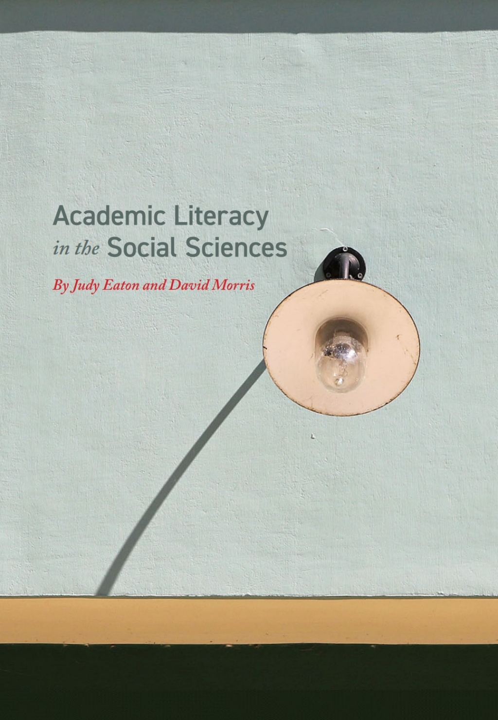Academic Literacy in the Social Sciences 1st Edition â€“ PDF/EPUB Version Downloadable